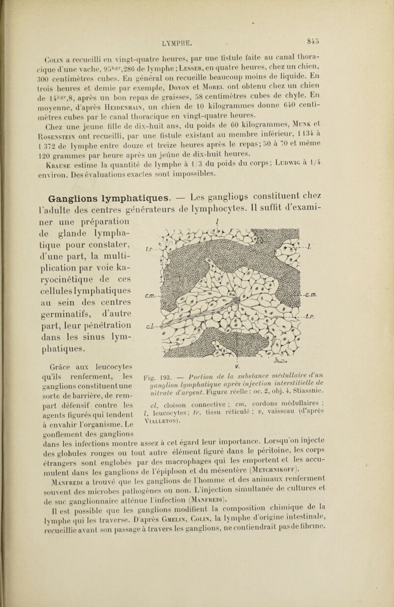 Colin a recueilli en vingt-quatre heures, par une listule taite au canal thoia- cique d'une vache, 95ksr,286 de lymphe ; Lesser, en quatre heures, chez un chien, HOU centimètres cubes. En général on recueille beaucoup moins de liquide. En trois heures et demie par exemple, Doyon et Morel ont obtenu chez un chien de 14ksr,8, après un bon repas de graisses, 58 centimètres cubes de chyle. En moyenne, d’après Heidenhain, un chien de 10 kilogrammes donne 640 centi¬ mètres cubes par le canal thoracique en vingt-quatre heures. Chez une jeune fille de dix-huit ans, du poids de 60 kilogrammes, Mi nk et Hosenstein ont recueilli, par une fistule existant au membre inférieui, 113-i- a 1 372 de lymphe entre douze et treize heures après le repas; 30 à <0 et même 120 grammes par heure après un jeûne de dix-huit heures. Krause estime la quantité de lymphe à 1,3 du poids du corps; Ludwig a l/a environ. Des évaluations exactes sont impossibles. Ganglions lymphatiques. — Les ganglions constituent chez l’adulte des centres générateurs de lymphocytes. Il suffit <1 exami¬ ner une préparation de glande lympha¬ tique pour constater, d'une part, la multi¬ plication par voie ka- ryocinétique de ces cellules lymphatiques au sein des centres germinatifs, d’autre part, leur pénétration dans les sinus lym¬ phatiques. tr. - cl- -cm. 193 _ Portion de la substance médullaire d'un ganglion Igmphatique après injection interstitielle cle nitrate d’argent. Figure réelle: oc. 2, obj. 4, Stiassnie. cl, cloison connective ; cm, cordons médullaires ; l, leucocytes; tr, tissu réticulé; v, vaisseau (d’après Yialleton). Fi Grâce aux leucocytes qu’ils renferment, les ganglions constituent une sorte de barrière, de rem¬ part défensif contre les agents figurés qui tendent à envahir l’organisme. Le gonflement des ganglions dans les infections montre assez à cet égard leur importance. Lorsqu on injecte des globules rouges ou tout autre élément figuré dans le péritoine, les coips étrangers sont englobés par des macrophages qui les emportent et les accu¬ mulent dans les ganglions de l’épiploon et du mésentère (Metchnikoi i Manfredi a trouvé que les ganglions de l’homme et des animaux renieraient souvent des microbes pathogènes ou non. L’injection simultanée de cultures.et de suc ganglionnaire atténue l’infection (Manfredi). Il est possible que les ganglions modifient la composition chimique de la lymphe qui les traverse. D’après Gmelin, Colin, la lymphe d origine intestinale, recueillie avant son passage à travers les ganglions, ne contiendrait pasde fibrine.