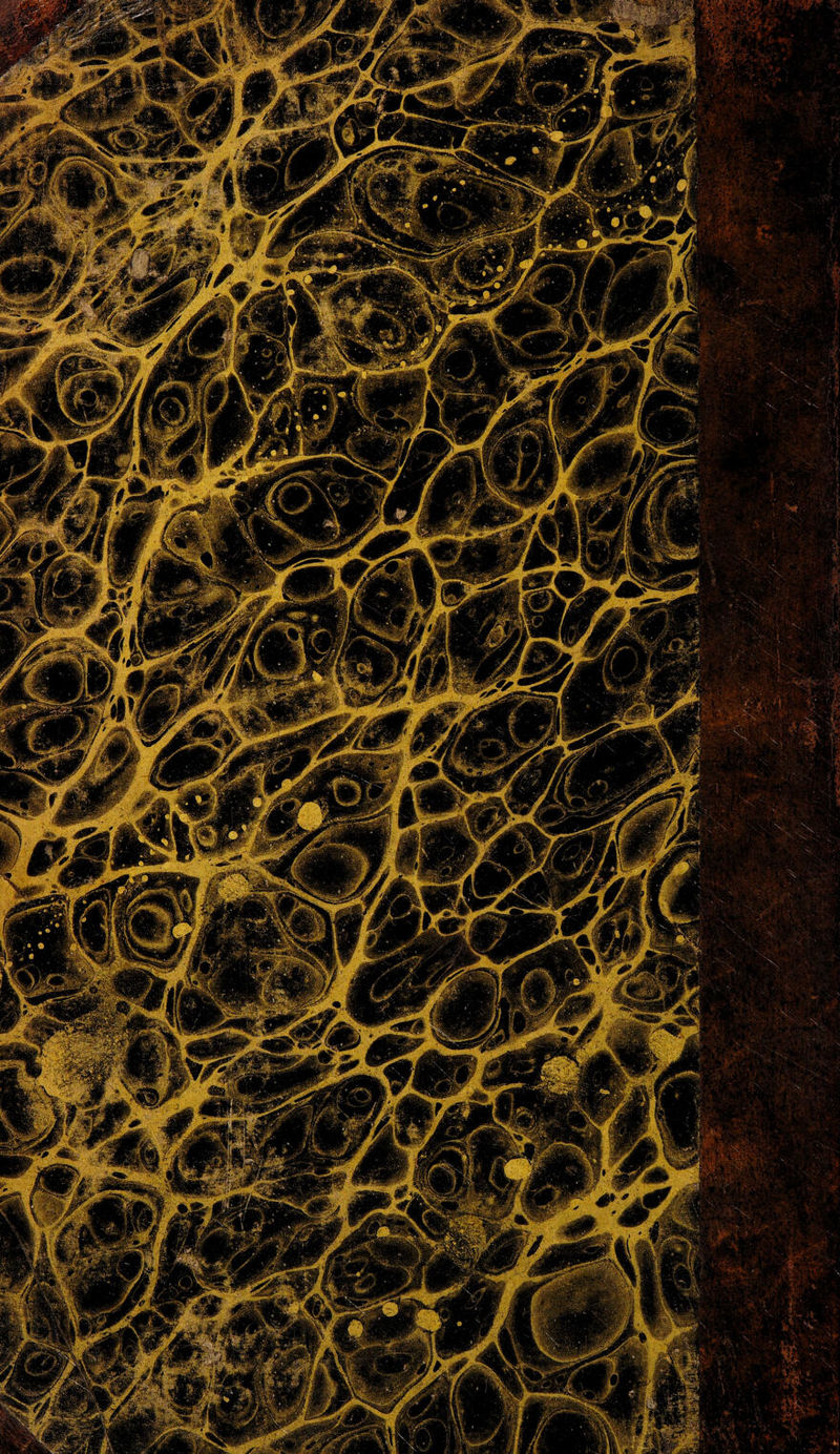 No text description is available for this image