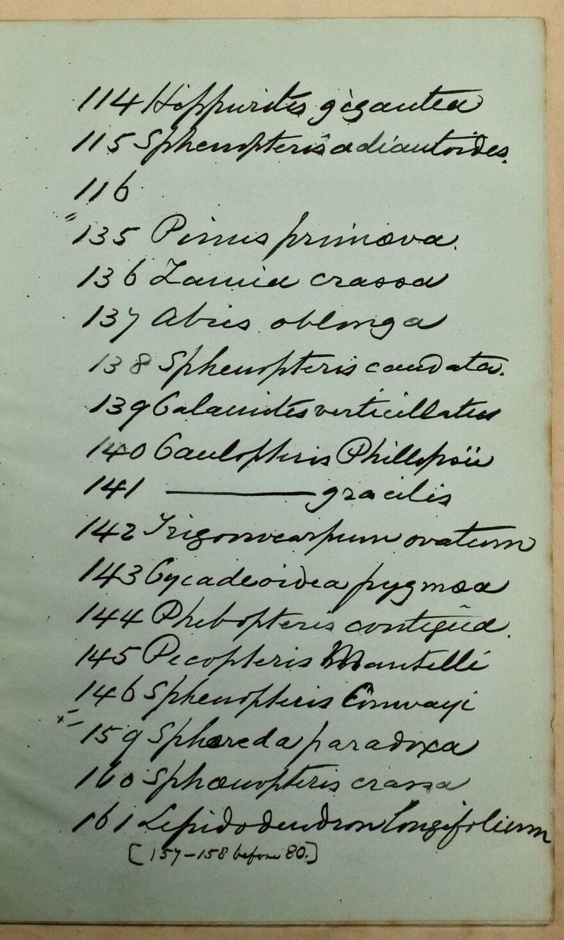 Y/Ws //s'-fr //4 S3 S' / J* P (S' <s^-^^s) ^Ya^T /&/ —^'1* f t £*?c yyi^g^<x_Y YSs*»*^t~,*33SS* ~