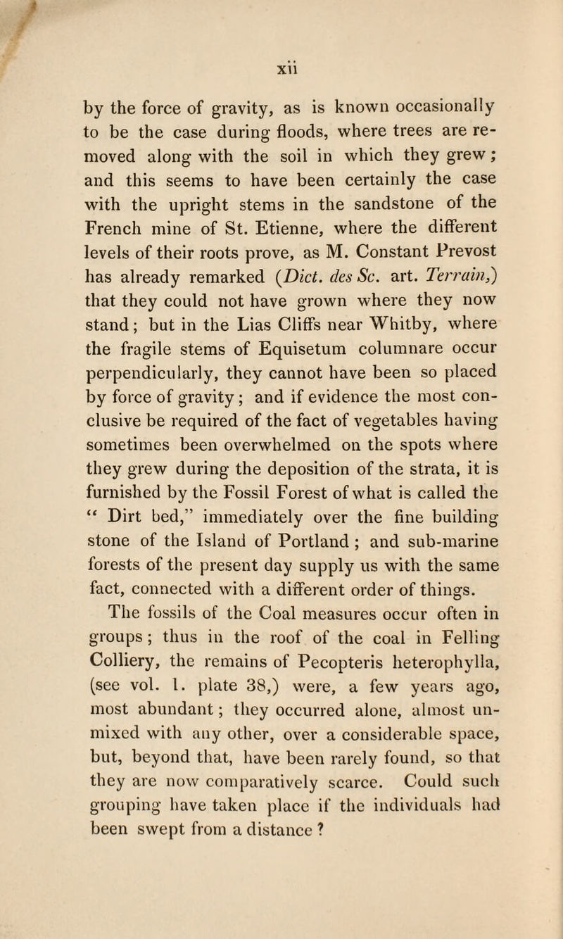 by the force of gravity, as is known occasionally to be the case during floods, where trees are re¬ moved along with the soil in which they grew; and this seems to have been certainly the case with the upright stems in the sandstone of the French mine of St. Etienne, where the different levels of their roots prove, as M. Constant Prevost has already remarked {Diet, cles Sc. art. Terrain,) that they could not have grown where they now stand; but in the Lias Cliffs near Whitby, where the fragile stems of Equisetum columnare occur perpendicularly, they cannot have been so placed by force of gravity; and if evidence the most con¬ clusive be required of the fact of vegetables having sometimes been overwhelmed on the spots where they grew during the deposition of the strata, it is furnished by the Fossil Forest of what is called the “ Dirt bed,” immediately over the fine building stone of the Island of Portland ; and sub-marine forests of the present day supply us with the same fact, connected with a different order of things. The fossils of the Coal measures occur often in groups; thus in the roof of the coal in Felling Colliery, the remains of Pecopteris heterophylla, (see vol. 1. plate 38,) were, a few years ago, most abundant; they occurred alone, almost un¬ mixed with any other, over a considerable space, but, beyond that, have been rarely found, so that they are now comparatively scarce. Could such grouping have taken place if the individuals had been swept from a distance ?