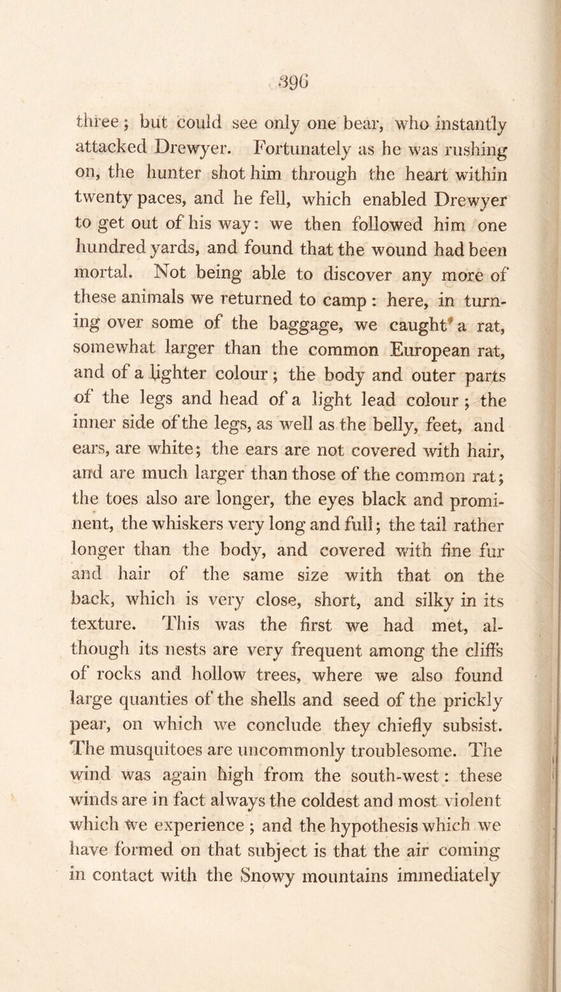 three ; but could see only one bear, who instantly attacked Drewyer. Fortunately as he was rushing on, the hunter shot him through the heart within twenty paces, and he fell, which enabled Drewyer to get out of his way: we then followed him one hundred yards, and found that the wound had been mortal. Not being able to discover any more of these animals we returned to camp : here, in turn¬ ing over some of the baggage, we caught* a rat, somewhat larger than the common European rat, and ot a lighter colour; the body and outer parts of the legs and head of a light lead colour ; the inner side of the legs, as well as the belly, feet, and ears, are white; the ears are not covered with hair, and are much larger than those of the common rat; the toes also are longer, the eyes black and promi¬ nent, the whiskers very long and full; the tail rather longer than the body, and covered with fine fur and hair of the same size with that on the back, which is very close, short, and silky in its texture. This was the first we had met, al¬ though its nests are very frequent among the cliffs of rocks and hollow trees, where we also found large quanties of the shells and seed of the prickly pear, on which we conclude they chiefly subsist. The musquitoes are uncommonly troublesome. The wind was again high from the south-west: these winds are in fact always the coldest and most violent which We experience ; and the hypothesis which we have formed on that subject is that the air coming in contact with the Snowy mountains immediately