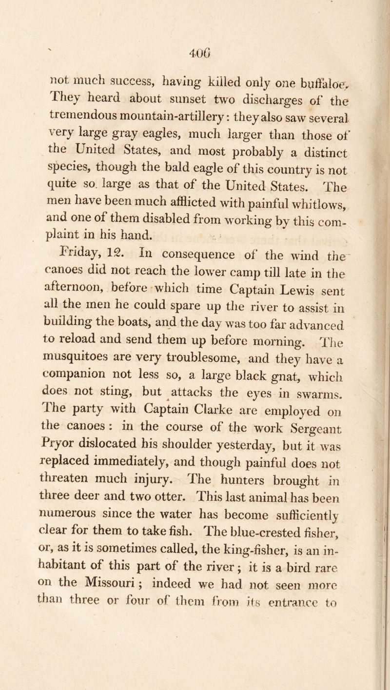 not much success, having killed only one buffaloe. They heard about sunset two discharges of the tremendous mountain-artillery: they also saw several very large gray eagles, much larger than those of the United States, and most probably a distinct species, though the bald eagle of this country is not quite so. large as that of the United States. The men have been much afflicted with painful whitlows, and one of them disabled from working by this com¬ plaint in his hand. f riday, IS. In consequence of the wind the canoes did not reach the lower camp till late in the afternoon, before which time Captain Lewis sent all the men he could spare up the river to assist in building the boats, and the day was too far advanced to reload and send them up before morning. The mosquitoes are very troublesome, and they have a companion not less so, a large black gnat, which does not sting, but attacks the eyes in swarms. The party with Captain Clarke are employed on the canoes : in the course of the work Sergeant Pryor dislocated his shoulder yesterday, but it was replaced immediately, and though painful does not threaten much injury. The hunters brought in three deer and two otter. This last animal has been numerous since the water has become sufficiently clear for them to take fish. The blue-crested fisher, or, as it is sometimes called, the king-fisher, is an in¬ habitant of this part of the river; it is a bird rare on the Missouri; indeed we had not seen more than three or four of them from its entrance to