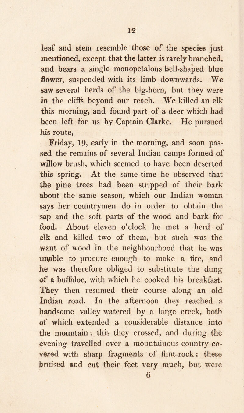 leaf and stem resemble those of the species just mentioned, except that the latter is rarely branched, and bears a single monopetalous bell-shaped blue flower, suspended with its limb downwards. We saw several herds of the big-horn, but they were in the cliffs beyond our reach. We killed an elk this morning, and found part of a deer which had been left for us by Captain Clarke. He pursued his route, Friday, 19, early in the morning, and soon pas¬ sed the remains of several Indian camps formed of willow brush, which seemed to have been deserted this spring. At the same time he observed that the pine trees had been stripped of their bark about the same season, which our Indian woman says her countrymen do in order to obtain the sap and the soft parts of the wood and bark for food. About eleven o’clock he met a herd of elk and killed two of them, but such was the want of wood in the neighbourhood that he was unable to procure enough to make a fire, and he was therefore obliged to substitute the dung of a buffaloe, with which he cooked his breakfast. They then resumed their course along an old Indian road. In the afternoon they reached a handsome valley watered by a large creek, both of which extended a considerable distance into the mountain: this they crossed, and during the evening travelled over a mountainous country co¬ vered with sharp fragments of flint-rock: these bruised and cut their feet very much, but were 6