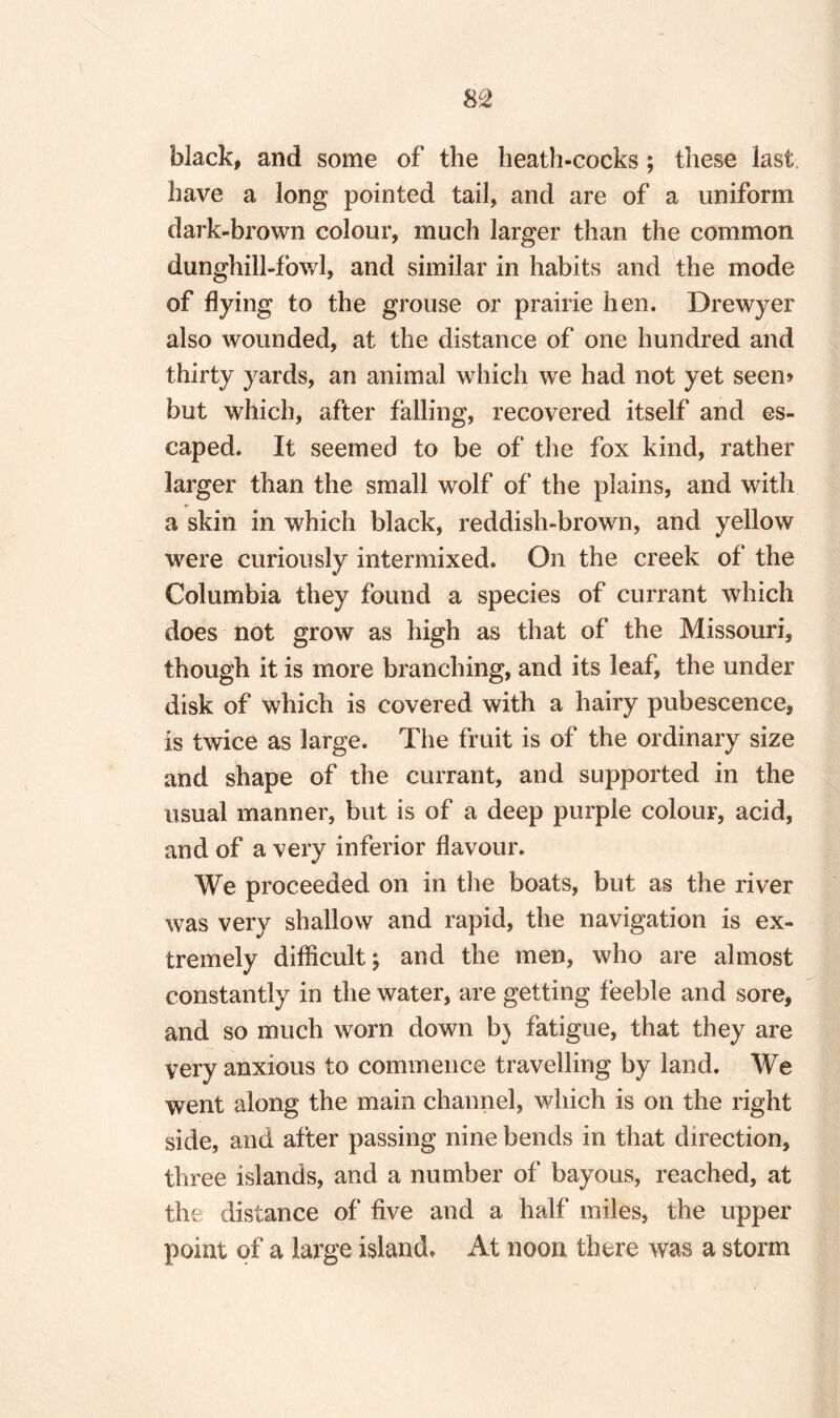 black, and some of the heath-cocks; these last have a long pointed tail, and are of a uniform dark-brown colour, much larger than the common dunghill-fowl, and similar in habits and the mode of flying to the grouse or prairie hen. Drewyer also wounded, at the distance of one hundred and thirty yards, an animal which we had not yet seem but which, after falling, recovered itself and es¬ caped. It seemed to be of the fox kind, rather larger than the small wolf of the plains, and with a skin in which black, reddish-brown, and yellow were curiously intermixed. On the creek of the Columbia they found a species of currant which does not grow as high as that of the Missouri, though it is more branching, and its leaf, the under disk of which is covered with a hairy pubescence, is twice as large. The fruit is of the ordinary size and shape of the currant, and supported in the usual manner, but is of a deep purple colour, acid, and of a very inferior flavour. We proceeded on in the boats, but as the river was very shallow and rapid, the navigation is ex¬ tremely difficult $ and the men, who are almost constantly in the water, are getting feeble and sore, and so much worn down b) fatigue, that they are very anxious to commence travelling by land. We went along the main channel, which is on the right side, and alter passing nine bends in that direction, three islands, and a number of bayous, reached, at the distance of five and a half miles, the upper point of a large island. At noon there was a storm