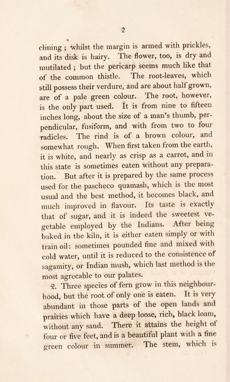 * dining ; whilst the margin is armed with prickles, and its disk is hairy. The flower, too, is dry and mutilated; but the pericarp seems much like that of the common thistle. The root-leaves, which still possess their verdure, and are about half grown, are of a pale green colour. The root, however, is the only part used. It is from nine to fifteen inches long, about the size of a man’s thumb, per¬ pendicular, fusiform, and with from two to four Tadicles. The rind is of a brown colour, and somewhat rough. When first taken from the earth, it is white, and nearly as crisp as a carrot, and in this state is sometimes eaten without any prepara¬ tion. But after it is prepared by the same process used for the pascheco quamash, which is the most usual and the best method, it becomes black, and much improved in flavour. Its taste is exactly that of sugar, and it is indeed the sweetest ve¬ getable employed by the Indians. Aftei being baked in the kiln, it is either eaten simply or with train oil: sometimes pounded fine and mixed with cold water, until it is reduced to the consistence of sagamity, or Indian mush, which last method is the most agreeable to our palates. g. Three species of fern grow in this neighbour¬ hood, but the root of only one is eaten. It is very abundant in those parts of the open lands and prairies which have a deep loose, rich, black loam, without any sand. There it attains the height of four or five feet, and is a beautiful plant with a fine o'reen colour in summer. The stem, which is o