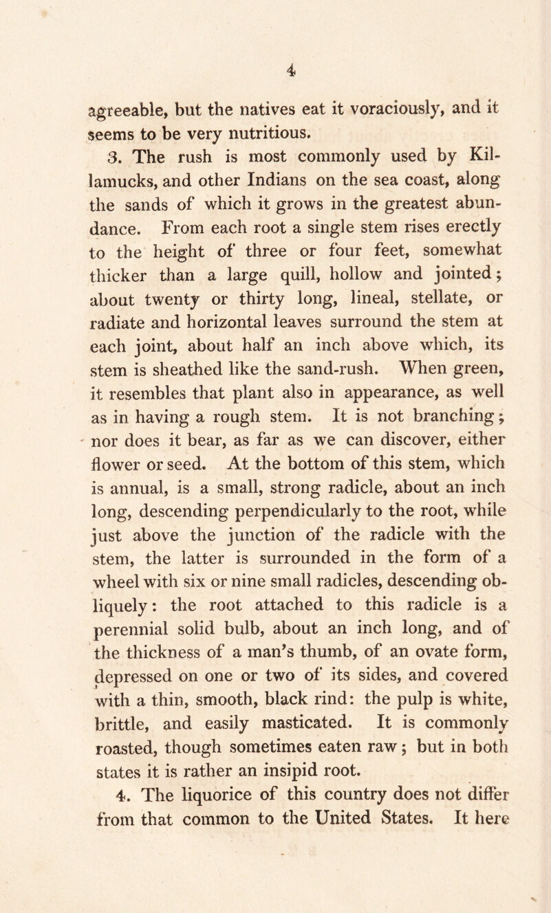 agreeable, but the natives eat it voraciously, and it seems to be very nutritious. 3. The rush is most commonly used by Kih lamucks, and other Indians on the sea coast, along the sands of which it grows in the greatest abun¬ dance. From each root a single stem rises erectly to the height of three or four feet, somewhat thicker than a large quill, hollow and jointed; about twenty or thirty long, lineal, stellate, or radiate and horizontal leaves surround the stem at each joint, about half an inch above which, its stem is sheathed like the sand-rush. When green, it resembles that plant also in appearance, as well as in having a rough stem. It is not branching; nor does it bear, as far as we can discover, either flower or seed. At the bottom of this stem, which is annual, is a small, strong radicle, about an inch long, descending perpendicularly to the root, while just above the junction of the radicle with the stem, the latter is surrounded in the form of a wheel with six or nine small radicles, descending ob¬ liquely : the root attached to this radicle is a perennial solid bulb, about an inch long, and of the thickness of a man’s thumb, of an ovate form, depressed on one or two of its sides, and covered with a thin, smooth, black rind: the pulp is white, brittle, and easily masticated. It is commonly roasted, though sometimes eaten raw; but in both states it is rather an insipid root. 4. The liquorice of this country does not differ from that common to the United States. It here