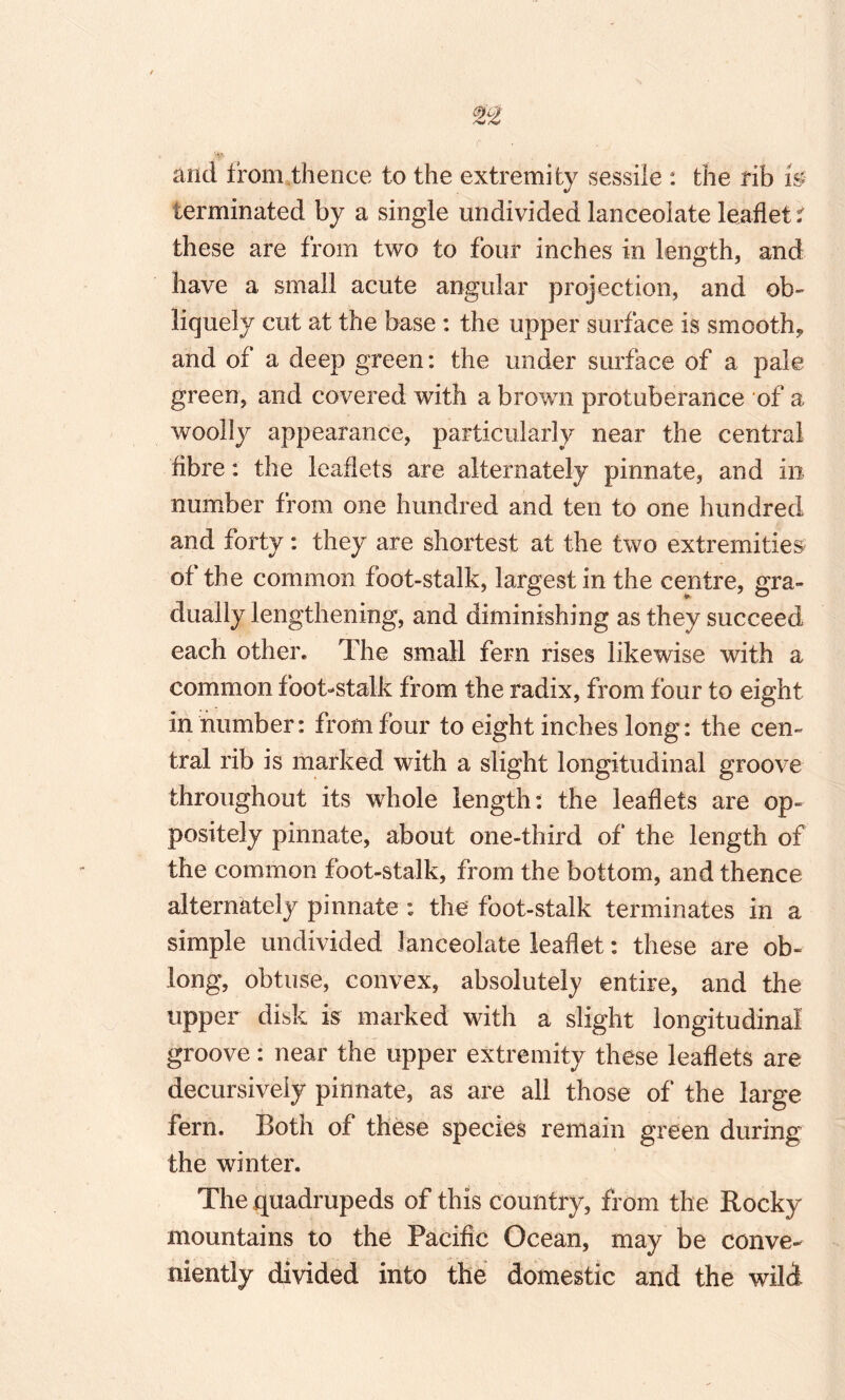 and from thence to the extremity sessile : the rib is terminated by a single undivided lanceolate leaflet i these are from two to four inches in length, and have a small acute angular projection, and ob» liquely cut at the base : the upper surface is smooth^ and of a deep green: the under surface of a pale green, and covered with a brown protuberance of a woolly appearance, particularly near the central fibre: the leaflets are alternately pinnate, and in number from one hundred and ten to one hundred and forty: they are shortest at the two extremities of the common foot-stalk, largest in the centre, gra¬ dually lengthening, and diminishing as they succeed each other. The small fern rises likewise with a common foot-stalk from the radix, from four to eight in number: from four to eight inches long: the cen¬ tral rib is marked with a slight longitudinal groove throughout its whole length: the leaflets are op¬ positely pinnate, about one-third of the length of the common foot-stalk, from the bottom, and thence alternately pinnate: the foot-stalk terminates in a simple undivided lanceolate leaflet: these are ob¬ long, obtuse, convex, absolutely entire, and the upper disk is marked with a slight longitudinal groove: near the upper extremity these leaflets are decursiveiy pinnate, as are all those of the large fern. Both of these species remain green during the winter. The quadrupeds of this country, from the Rocky mountains to the Pacific Ocean, may be conve¬ niently divided into the domestic and the wild