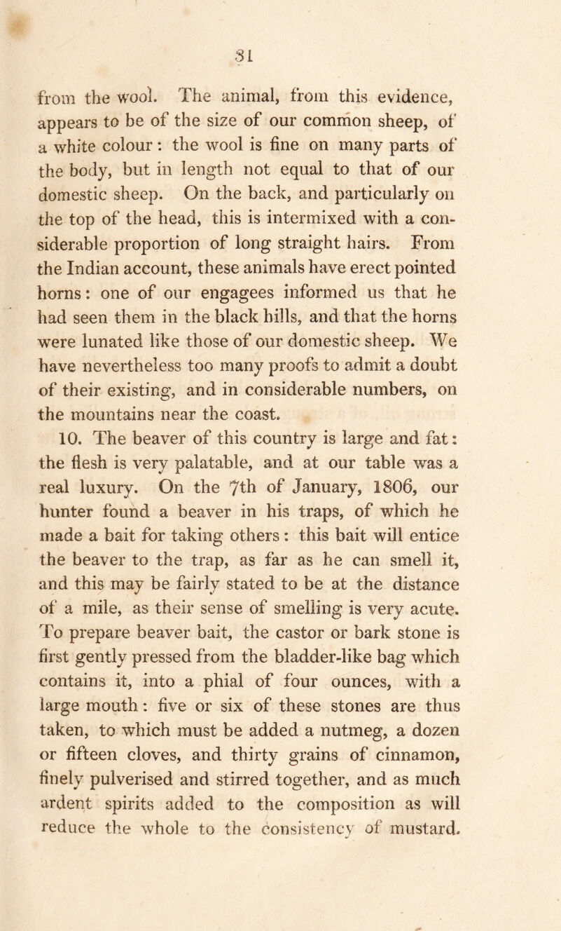 from the wool. The animal, from this evidence, appears to be of the size of our common sheep, of a white colour: the wool is fine on many parts of the body, but in length not equal to that of our domestic sheep. On the back, and particularly on the top of the head, this is intermixed with a con¬ siderable proportion of long straight hairs. From the Indian account, these animals have erect pointed horns: one of our engagees informed us that he had seen them in the black hills, and that the horns were lunated like those of our domestic sheep. We have nevertheless too many proofs to admit a doubt of their existing, and in considerable numbers, on the mountains near the coast. 10. The beaver of this country is large and fat: the flesh is very palatable, and at our table was a real luxury. On the 7th of January, 1806, our hunter found a beaver in his traps, of which he made a bait for taking others : this bait will entice the beaver to the trap, as far as he can smell it, and this may be fairly stated to be at the distance of a mile, as their sense of smelling is very acute. To prepare beaver bait, the castor or bark stone is first gently pressed from the bladder-like bag which contains it, into a phial of four ounces, with a large mouth: five or six of these stones are thus taken, to which must be added a nutmeg, a dozen or fifteen cloves, and thirty grains of cinnamon, finely pulverised and stirred together, and as much ardent spirits added to the composition as will reduce the whole to the consistency of mustard.