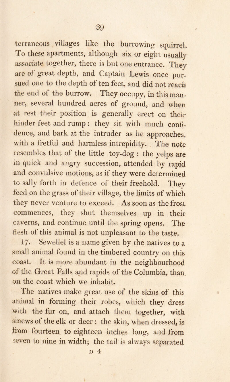 terraneous villages like the burrowing squirrel. To these apartments, although six or eight usually associate together, there is but one entrance. They are of great depth, and Captain Lewis once pur¬ sued one to the depth of ten feet, and did not reach the end of the burrow. They occupy, in this man¬ ner, several hundred acres of ground, and when at rest their position is generally erect on their hinder feet and rump: they sit with much confi¬ dence, and bark at the intruder as he approaches, with a fretful and harmless intrepidity. The note resembles that of the little toy-dog : the yelps are in quick and angry succession, attended by rapid and convulsive motions, as if they were determined to sally forth in defence of their freehold. They feed on the grass of their village, the limits of which they never venture to exceed. As soon as the frost commences, they shut themselves up in their caverns, and continue until the spring opens. The flesh of this animal is not unpleasant to the taste. 17* Sewellel is a name given by the natives to a small animal found in the timbered country on this coast. It is more abundant in the neighbourhood of the Great Falls and rapids of the Columbia, than on the coast which we inhabit. The natives make great use of the skins of this animal in forming their robes, which they dress with the fur on, and attach them together, with sinews of the elk or deer: the skin, when dressed, is from fourteen to eighteen inches long, and from seven to nine in width; the tail is always separated