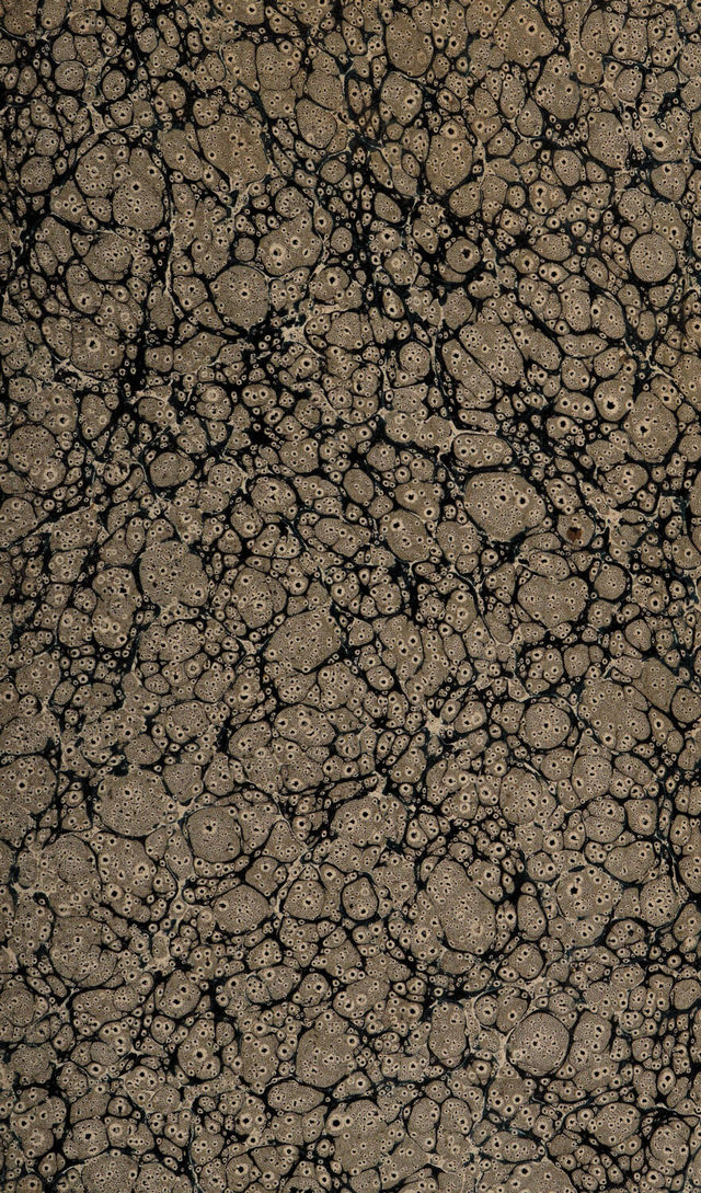 digitised image 3