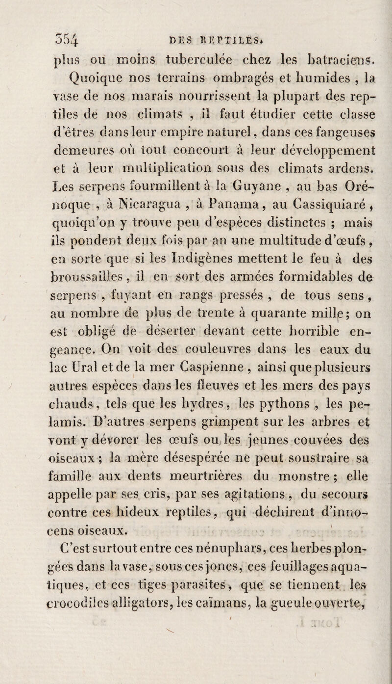 plus ou moins tuberculée chez les batraciens. Quoique nos terrains ombragés et humides , la vase de nos marais nourrissent la plupart des rep¬ tiles de nos climats , il faut étudier cette classe d'êtres dans leur empire naturel, dans ces fangeuses demeures où tout concourt à leur développement et à leur multiplication sous des climats ardens. Les serpens fourmillent à la Guyane , au bas Oré- noque , à Nicaragua , à Panama, au Gassiquiaré , quoiqu’on y trouve peu d’espèces distinctes ; mais ils pondent deux fois par an une multitude d’œufs , en sorte que si les Indigènes mettent le feu à des broussailles, il en sort des armées formidables de serpens , fuyant en rangs pressés , de tous sens, au nombre de plus de trente à quarante mille; on est obligé de déserter devant cette horrible en¬ geance. On voit des couleuvres dans les eaux du lac Ural et de la mer Caspienne , ainsi que plusieurs autres espèces dans les fleuves et les mers des pays chauds , tels que les hydres, les pythons , les pe¬ la mi s. D’autres serpens grimpent sur les arbres et vont y dévorer les œufs ou les jeunes couvées des oiseaux ; la mère désespérée ne peut soustraire sa famille aux dents meurtrières du monstre ; elle appelle par ses cris, par ses agitations, du secours contre ces hideux reptiles, qui déchirent d’inno- cens oiseaux. C’est surtout entre ces nénuphars, ces herbes plon¬ gées dans la vase, sous ces joncs, ces feuillages aqua¬ tiques, et ces tiges parasites, que se tiennent les crocodiles alligators, les caïmans, la gueule ouverte,