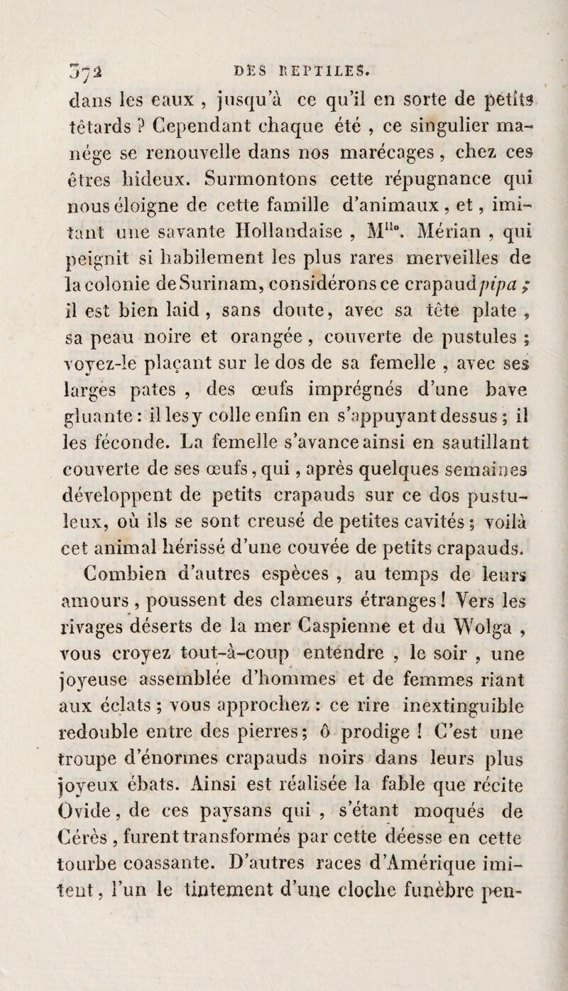 dans les eaux , jusqu’à ce qu’il en sorte de petits têtards ? Cependant chaque été , ce singulier ma¬ nège se renouvelle dans nos marécages, chez ces êtres hideux. Surmontons cette répugnance qui nous éloigne de cette famille d’animaux, et, imi¬ tant une savante Hollandaise , MUo. Mérian , qui peignit si habilement les plus rares merveilles de la colonie deSurinam, considéronsce crapau dpipa ; il est bien laid , sans doute, avec sa tête plate , sa peau noire et orangée , couverte de pustules ; voyez-le plaçant sur le dos de sa femelle , avec ses larges pâtes , des œufs imprégnés d’une bave gluante: il les y colle enfin en s’appuyant dessus ; il les féconde. La femelle s’avance ainsi en sautillant couverte de ses œufs, qui, après quelques semaines développent de petits crapauds sur ce dos pustu¬ leux, où ils se sont creusé de petites cavités; voilà cet animal hérissé d’une couvée de petits crapauds. Combien d’autres espèces , au temps de leurs amours , poussent des clameurs étranges ! Vers les rivages déserts de la mer Caspienne et du Wolga , vous croyez tout-à-coup entendre , le soir , une joyeuse assemblée d’hommes et de femmes riant aux éclats ; vous approchez : ce rire inextinguible redouble entre des pierres; ô prodige ! C’est une troupe d’énormes crapauds noirs dans leurs plus joyeux ébats. Ainsi est réalisée la fable que récite Ovide, de ces paj^sans qui , s étant moqués de Cérès , furent transformés par cette déesse en cette tourbe coassante. D’autres races d’Amérique imi¬ tent , l’un le tintement d’une cloche funèbre pcn-