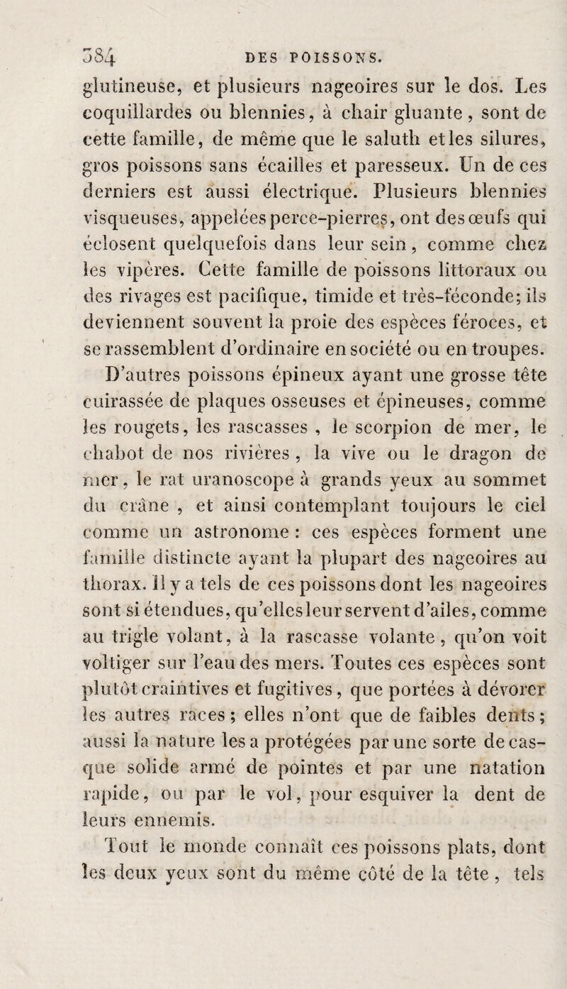 gîutineuse, et plusieurs nageoires sur le dos. Les eoquillardes ou blennies, à chair gluante, sont de cette famille, de même que le saluth et les silures, gros poissons sans écailles et paresseux. Un de ces derniers est aussi électrique. Plusieurs blennies visqueuses, appelées perce-pierres, ont des œufs qui éclosent quelquefois dans leur sein, comme chez les vipères. Cette famille de poissons littoraux ou des rivages est pacifique, timide et très-féconde; ils deviennent souvent la proie des espèces féroces, et se rassemblent d’ordinaire en société ou en troupes. D’autres poissons épineux ayant une grosse tête cuirassée de plaques osseuses et épineuses, comme les rougets, les rascasses , le scorpion de mer, le chabot de nos rivières , la vive ou le dragon de mer, le rat uranoscope à grands yeux au sommet du crâne , et ainsi contemplant toujours le ciel comme un astronome : ces espèces forment une famille distincte ayant la plupart des nageoires au thorax. 11 y a tels de ces poissons dont les nageoires sont si étendues, qu’elles leur servent d’ailes, comme au trigle volant, à la rascasse volante, qu’on voit voltiger sur l’eau des mers. Toutes ces espèces sont plutôt craintives et fugitives, que portées à dévorer les autres races ; elles n’ont que de faibles dents ; aussi la nature lésa protégées par une sorte de cas¬ que solide armé de pointes et par une natation rapide, ou par le vol, pour esquiver la dent de leurs ennemis. Tout le monde connaît ces poissons plats, dont les deux yeux sont du même côté de la tête , tels w J