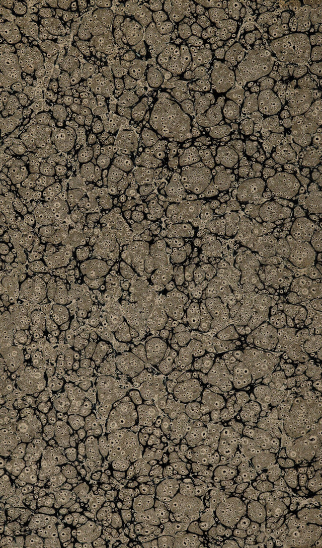 digitised image 2