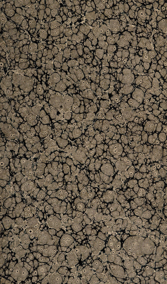 digitised image 3