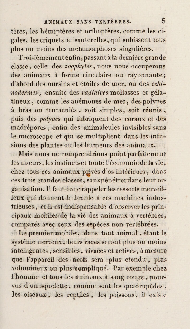 tères, les hémiptères et orthoptères, comme les ci¬ gales, les criquets et sauterelles, qui subissent tous plus ou moins des mëtamorpho>ses singulières. Troisièmement enfin, passant à la dernière grande classe, celle des zaopkytes^ nous nous occuperons des animaux à forme circulaire ou rayonnante ; d’abord des oursins et étoiles de mer, ou des éclii^ nodermes ^ ensuite des radiaires mollasses et géla¬ tineux, comme les anémones de mer, des polypes à bras ou tentaculés y soit simples, soit réunis , puis des polypes qui fabriquent des coraux et des madrépores , enfin des animalcules invisibles sans le microscope et qui se multiplient dans les infu¬ sions des plantes ou les humeurs des animaux. Mais nous ne comprendrions point parfaitement les mœurs, les instincts et toute l’économie de la vie, chez tous ces animaux pjjvés d’os intérieurs , dans ces trois grandes classes, sans pénétrer dans leur or¬ ganisation. Il faut donc rappeler les ressorts merveil¬ leux qui donnent le branle à ces machines indus¬ trieuses, et il est indispensable d’observer les prin¬ cipaux mobiles*'de la vie des animaux à vertèbres, comparés avec ceux des espèces non vertébrées. ‘ Le premier mobile , rdans tout animal, étant le système nerveux ;Teurs races seront plus ou moins intelligentes , sensibles, vivaces et actives, à mesure que l’appareil des nerfs sera plus étendu , plus volumineux ou plus compliqué. Par exemple chez l’homme et tous les ànimaux à sang rouge , pour¬ vus d’un squelette, comme sont les quadrupèdes, les oiseaux, les reptiles, les poissons, il existe