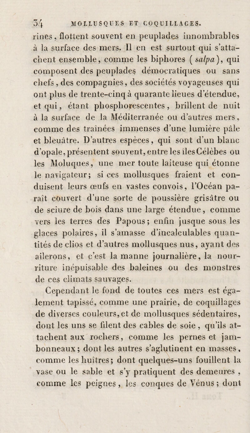 rines, flottent souvent en peuplades innombrables à la surface des mers. Il en est surtout qui s’atta¬ chent ensemble, comme les biphores [salpa), qui composent des peuplades démocratiques ou sans chefs , des compagnies, des sociétés voyageuses qui ont plus de trente-cinq à quarante lieues d’étendue, et qui, étant phosphorescentes, brillent de nuit à la surface de la Méditerranée ou d’autres mers, comme des traînées immenses d’une lumière pâle et bleuâtre. D’autres espèces, qui sont d’un blanc d’opale, présentent souvent, entre les îles Célèbes ou les Moluques, une mer toute laiteuse qui étonne le navigateur; si ces mollusques fraient et con¬ duisent leurs œufs en vastes convois, l’Océan pa¬ raît couvert d’une sorte de poussière grisâtre ou de sciure de bois dans une large étendue, comme vers les terres des Papous; enfin jusque sous les glaces polaires, il s’amasse d’incalculables quan¬ tités de clios et d’autres mollusques nus, ayant des ailerons, et c’est la manne journalière, la nour¬ riture inépuisable des baleines ou des monstres de ces climats sauvages. Cependant le fond de toutes ces mers est éga¬ lement tapissé, comme une prairie, de coquillages de diverses couleurs,et de mollusques sédentaires, dont les uns se filent des cables de soie, qu’ils at¬ tachent aux rochers, comme les pernes et jam¬ bonneaux ; dont les autres s’aglutinent en masses, comme les huîtres; dont quelques-uns fouillent la vase ou le sable et s’y pratiquent des demeures , comme les peignes, les conques de Vénus; dont