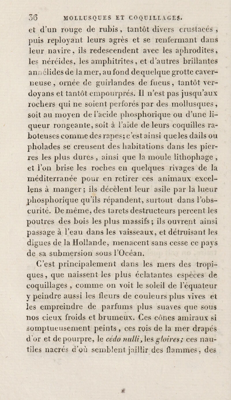 et d’un rouge de rubis, tantôt divers crustacés ^ puis reployant leurs agrès et se renfermant dans leur navire, ils redescendent avec les aplirodites, les néréides, les amphitrites, et d’autres brillantes annélides de la mer, au fond de quelque grotte caver¬ neuse , ornée de guirlandes de fucus, tantôt ver- doyans et tantôt empourprés. Il n’est pas jusqu’aux rochers qui ne soient perforés par des mollusques, soit au moyen de l’acide phosphorique ou d’une li¬ queur rongeante, soit à l’aide de leurs coquilles ra¬ boteuses comme des râpes; c’est ainsi que les dails ou pholades se creusent des habitations dans les pier¬ res les plus dures, ainsi que la moule litbopliage , et l’on brise les roches en quelques rivages de la méditerranée pour en retirer ces animaux excel¬ lons à manger; ils décèlent leur asile par la lueur phosphorique qu’ils répandent, surtout dans l’obs¬ curité. De même, des tarets destructeurs percent les poutres des bois les plus massifs ; ils ouvrent ainsi passage à l’eau dans les vaisseaux, et détruisant les digues de la Hollande, menacent sans cesse ce pays de sa submersion sous l’Océan. C’est principalement dans les mers des tropi¬ ques, que naissent les plus éclatantes espèces de coquillages , comme on voit le soleil de l’équateur y peindre aussi les fleurs de couleurs plus vives et les empreindre de parfums plus suaves que sous nos cieux froids et brumeux. Ces cônes amiraux si somptueusement peints, ces rois de la mer drapés d’or et de pourpre, le cédo nulli,\ç.^ gloires; ces nau¬ tiles nacrés d’où semblent jaillir des flammes, des