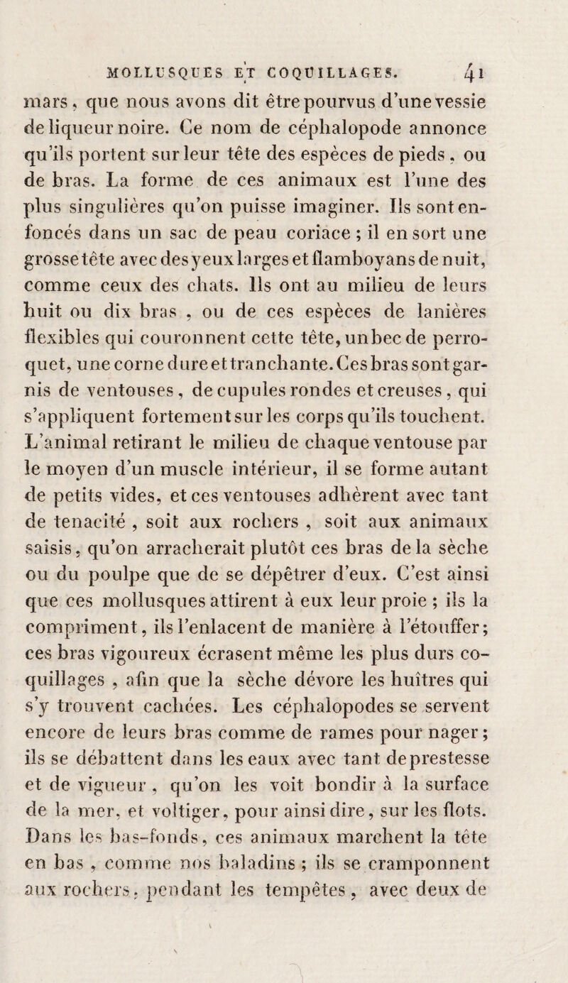 mars, que nous avons dit être pourvus d’une vessie de liqueur noire. Ce nom de céphalopode annonce qu’ils portent sur leur tête des espèces de pieds. ou de bras. La forme de ces animaux est l’iine des plus singulières qu’on puisse imaginer. Ils sont en¬ foncés dans un sac de peau coriace ; il en sort une grosse tête avec des y eux larges et flamboy ans de nuit, comme ceux des chats. Ils ont au milieu de leurs huit ou dix bras , ou de ces espèces de lanières flexibles qui couronnent cette tête,unbecde perro¬ quet, une corne dureet tranchante. Ces bras sont gar¬ nis de ventouses, de cupules rondes et creuses, qui s’appliquent fortement sur les corps qu’ils touchent. L’animal retirant le milieu de chaque ventouse par le moyen d’un muscle intérieur, il se forme autant de petits vides, et ces ventouses adhèrent avec tant de ténacité , soit aux rochers , soit aux animaux saisis 5 qu’on arracherait plutôt ces bras de la sèche ou du poulpe que de se dépêtrer d’eux. C’est ainsi que ces mollusques attirent à eux leur proie ; ils la compriment, ils l’enlacent de manière à l’étouffer; ces bras vigoureux écrasent même les plus durs co¬ quillages , afin que la sèche dévore les huîtres qui s’y trouvent cachées. Les céphalopodes se servent encore de leurs bras comme de rames pour nager ; ils se débattent dans les eaux avec tant deprestesse et de vigueur , qu’on les voit bondir à la surface de la mer, et voltiger, pour ainsi dire, sur les flots. Dans les bas-fonds, ces animaux marchent la tête en bas , comme nos baladins ; ils se cramponnent aux rochers, pendant les tempêtes, avec deux de 1