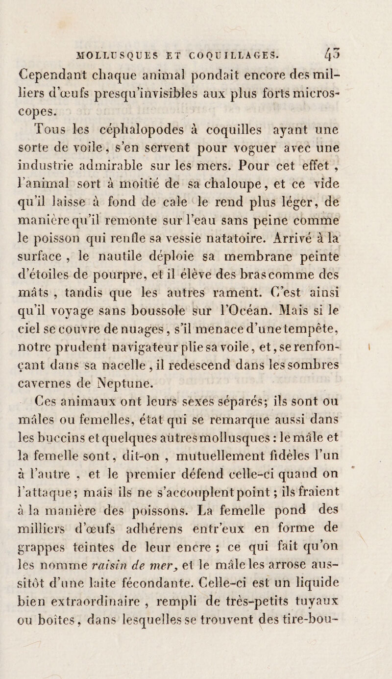 Cependant chaque animal pondait encore des mil¬ liers d’œufs presqu’invisihles aux plus forts micros¬ copes. Tous les céphalopodes à coquilles ayant une sorte de voile, s’en servent pour voguer avec une industrie admirable sur les mers. Pour cet effet , l’animal sort à moitié de sa chaloupe, et ce vide qu’il laisse à fond de cale le rend plus léger, de manière qu’il remonte sur l’eau sans peine comme le poisson qui renfle sa vessie natatoire. Arrivé à la surface , le nautile déploie sa membrane peinte d’étoiles de pourpre, et il élève des bras comme des mâts , tandis que les autres rament. C’est ainsi qu’il voyage sans boussole sur l’Océan. Mais si le ciel se couvre de nuages, s’il menace d’une tempête, notre prudent navigateur plie sa voile, et, se renfon¬ çant dans sa nacelle , il redescend dans les sombres cavernes de Neptune. Ces animaux ont leurs sexes séparés; ils sont ou mâles ou femelles, état qui se remarque aussi dans les buccins et quelques aütres mollusques : le mâle et la femelle sont, dit-on , mutuellement fidèles l’un à l’autre , et le premier défend celle-ci quand on l’attaque; mais ils ne s’accouplent point ; ils fraient à la manière des poissons. La femelle pond des milliers d’œufs adhérens entr’eux en forme de grappes teintes de leur encre ; ce qui fait qu’on les nomme raisin de meTy et le mâle les arrose aus¬ sitôt d’une laite fécondante. Celle-ci est un liquide bien extraordinaire , rempli de très-petits tuyaux ou boîtes, dans lesquelles se trouvent des tire-bou-