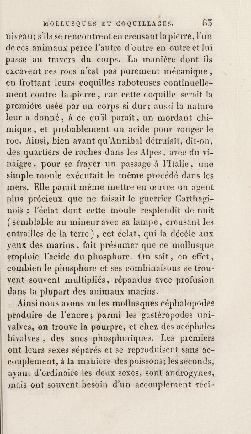 niveau; s’ils se rencontrent en creusant la pierre, l’un de ces animaux perce l’autre d’outre en outre et lui passe au travers du corps. La manière dont ils excavent ces rocs n’est pas purement mécanique , en frottant leurs coquilles raboteuses continuelle¬ ment contre la pierre, car cette coquille serait la première usée par un corps si dur; aussi la nature leur a donné, à ce qu’il paraît, un mordant chi¬ mique , et probablement un acide pour ronger le roc. Ainsi, bien avant qu’Annibai détruisît, dit-on, des quartiers de roches dans les Alpes, avec du vi¬ naigre , pour se frayer un passage à l’Italie, une simple moule exécutait le même procédé dans les mers. Elle paraît même mettre en œuvre un agent plus précieux que ne faisait le guerrier Carthagi¬ nois : l’éclat dont cette moule resplendit de nuit ( semblable au mineur avec sa lampe, creusant les entrailles de la terre), cet éclat, qui la décèle aux yeux des marins, fait présumer que ce mollusque emploie l’acide du phosphore. On sait, en effet, combien le phosphore et ses combinaisons se trou¬ vent souvent multipliés, répandus avec profusion dans la plupart des animaux marins. Ainsi nous avons vu les mollusques céphalopodes produire de l’encre ; parmi les gastéropodes uni- valves, on trouve la pourpre, et chez des acéphales bivalves , des sucs phosphoriques. Les premiers ont leurs sexes séparés et se reproduisent sans ac¬ couplement, à la manière des poissons; les seconds, ayant d’ordinaire les deux sexes, sont androgynes, mais ont souvent besoin d’un accouplement réci-