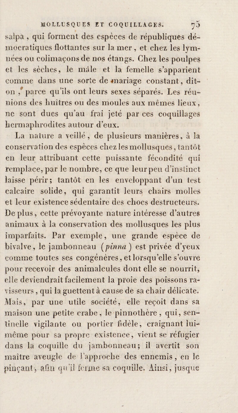 salpa , qui forment des espèces de républiques dé¬ mocratiques flottantes sur la mer, et chez les lym- riées ou colimaçons de nos étangs. Chez les poulpes et les sèches, le mâle et la femelle s’apparient comme dans une sorte de mariage constant, dit- on ^ parce qu’ils ont leurs sexes séparés. Les réu¬ nions des huîtres ou des moules aux mêmes lieux, ne sont dues qu’au frai jeté par ces coquillages hermaphrodites autour d’eux. La nature a veillé, de plusieurs manières, à la conservation des espèces chez les mollusques, tantôt en leur attribuant cette puissante fécondité qui remplace, par le nombre, ce que leur peu d’instinct laisse périr; tantôt en les enveloppant d’un test calcaire solide, qui garantit leurs chairs molles et leur existence sédentaire des chocs destructeurs. De plus, cette prévoyante nature intéresse d’autres animaux à la conservation des mollusques les plus imparfaits. Par exemple, une grande espèce de bivalve, le jambonneau [pinna) est privée d’yeux comme toutes ses congénères, et lorsqu’elle s’ouvre pour recevoir des animalcules dont elle se nourrit, elle deviendrait facilement la proie des poissons ra¬ visseurs , qui la guettent à cause de sa chair délicate. M ais, par une utile société, elle reçoit dans sa maison une petite crabe, le pinnothère , qui, sen¬ tinelle vigilante ou portier Adèle, craignant lui- même pour sa propre existence, vient se réfugier dans la coquille du jambonneau; il avertit son maître aveugle de l’approche des ennemis, en le pinçant , afui qu’il ferme sa coquille. Ainsi, jusque