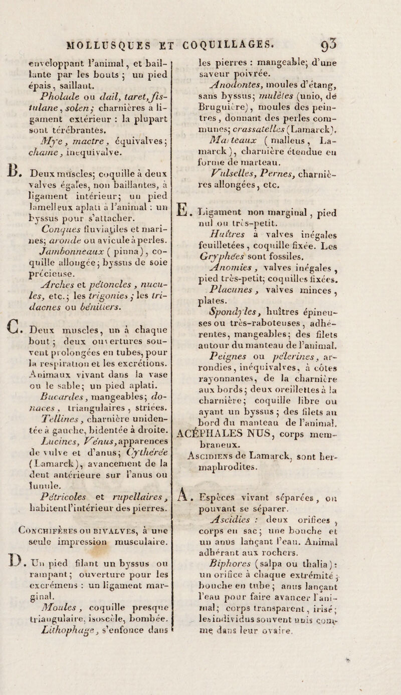 enveloppant l’animal, et bail¬ lante par les bouts 5 un pied épais, saillant. Pholade ou dail, taret,Jïs- tulane^ solertÿ charnières a li¬ gament extérieur : la plupart sont térébrantes. Mye, mactre, équivalves 5 chaîne, inequivalve. • Deux muscles; coquille à deux valves égales, non baillantes, à ligament intérieur; un pied lamelleux aplati à l’animal ; un bjssus pour s’attacher. Concjues fluviaÿles et mari¬ nes; aronde ou aviculeàpei’les. Jambonneaux ( pinna), co¬ quille allongée; bjssus de soie précieuse. yirches et péLoncles , nucu- les, etc.; les trigonies j les tri- dacnes ou bénitiers. C. Deux muscles, un à chaque bout; deux oui ertures sou¬ vent prolongées en tubes, pour la resj'iration et les excrétions. ,4nimaux vivant dans la vase ou le sable; un pied aplati. Bucardes, mangeables; do- naces , triangulaires , striées. TelLines , charnière uniden- tée à gauche, bidentée à droite. Lucines, apparences de vulve et d’anus; Cj'thérée (Lamarck), avancement de la dent antérieure sur l’anus ou lunule, Pétricoles et riipellaires ^ habitentl’intérieur des pierres. CoxchifÈres ou bivalves, à une s.eule impression musculaire. , Un pied filant un bjssus ou rampant ; ouverture pour les excrémens : un ligament mai- gin al. Moules , coquille presque triangulaii e, isoscèle, bombée. Lithophage J s’enfonce dans les pierres : mangealsle; d’une saveur poivrée, Anodontes, moules d’étang, sans bjssus; mulèles (unio, dé Bruguière), moules des pein¬ tres , donnant des perles com¬ munes; crassatellas (Lamarck), Maiteaux (maliens, La¬ marck), charnière étendue eu forme de marteau, Vidselles, Pernes, charniè¬ res allongées, etc. E. Ligament non marginal, pied nul ou tris-petit. Huàres à valves inégales feuilletées , coquille fixée. Les Grj'phées sont fossiles. Anomies , valves inégales , pied très-petit; coquilles fixées. Placunes , valves minces , piales. Spondy lesy huîtres épineu¬ ses ou très-raboteuses , adhé¬ rentes, mangeables; des filets autour du manteau de l’animal. Peignes ou pèlerines, ar¬ rondies, inéquivalves, à côtes rajonnantes, de la charnière aux bords; deux oreillettes à la charnière; coquille libre ou ayant un bjssus ; des filets au bord du manteau de l’animal. ACÉPHALES NUS, corps mem¬ braneux. Ascidiexs de Lamarck, sont her¬ maphrodites. A . Espèces vivant séparées , ou pouvant se séparer. Ascidies : deux orifices , corps eu sac; une bouche et un anus lafiçant l’eau. Animal adhérant aux rochers. Biphores (salpa ou lhalia): un orifice à chaque extrémité ; bouche en tube; anus lançant l’eau pour faire avancer rani¬ mai; corps transparent, irisé; lesindividus souvent unis coni'- niç dans leur ovaire.