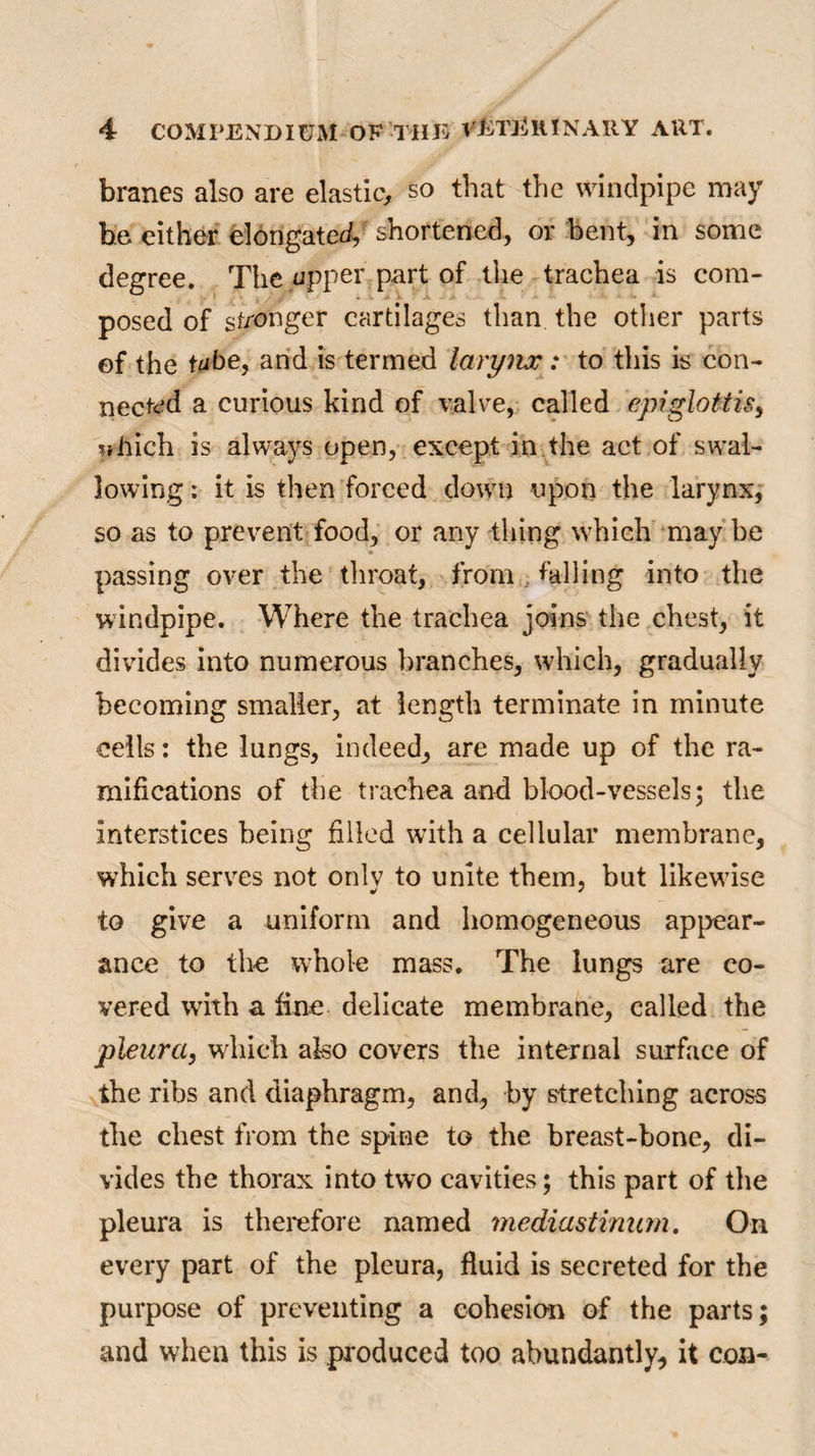 branes also are elastic, so that the windpipe may be either elongated, shortened, or bent, in some degree. The upper part of the trachea is com¬ posed of stronger cartilages than the other parts of the tube, and is termed larynx : to this is con¬ nected a curious kind of valve, called epiglottis, Ulrich is always open, except in the act of swal¬ lowing .* it is then forced down upon the larynx, so as to prevent food, or any thing which may be passing over the throat, from , falling into the windpipe. Where the trachea joins the chest, it divides into numerous branches, which, gradually becoming smaller, at length terminate in minute cells: the lungs, indeed, are made up of the ra¬ mifications of the trachea and blood-vessels; the interstices being filled with a cellular membrane, which serves not only to unite them, but likewise to give a uniform and homogeneous appear¬ ance to the whole mass. The lungs are co¬ vered with a fine delicate membrane, called the pleura, which also covers the internal surface of the ribs and diaphragm, and, by stretching across the chest from the spine to the breast-bone, di¬ vides the thorax into two cavities; this part of the pleura is therefore named mediastinum. On every part of the pleura, fluid is secreted for the purpose of preventing a cohesion of the parts; and when this is produced too abundantly, it con-