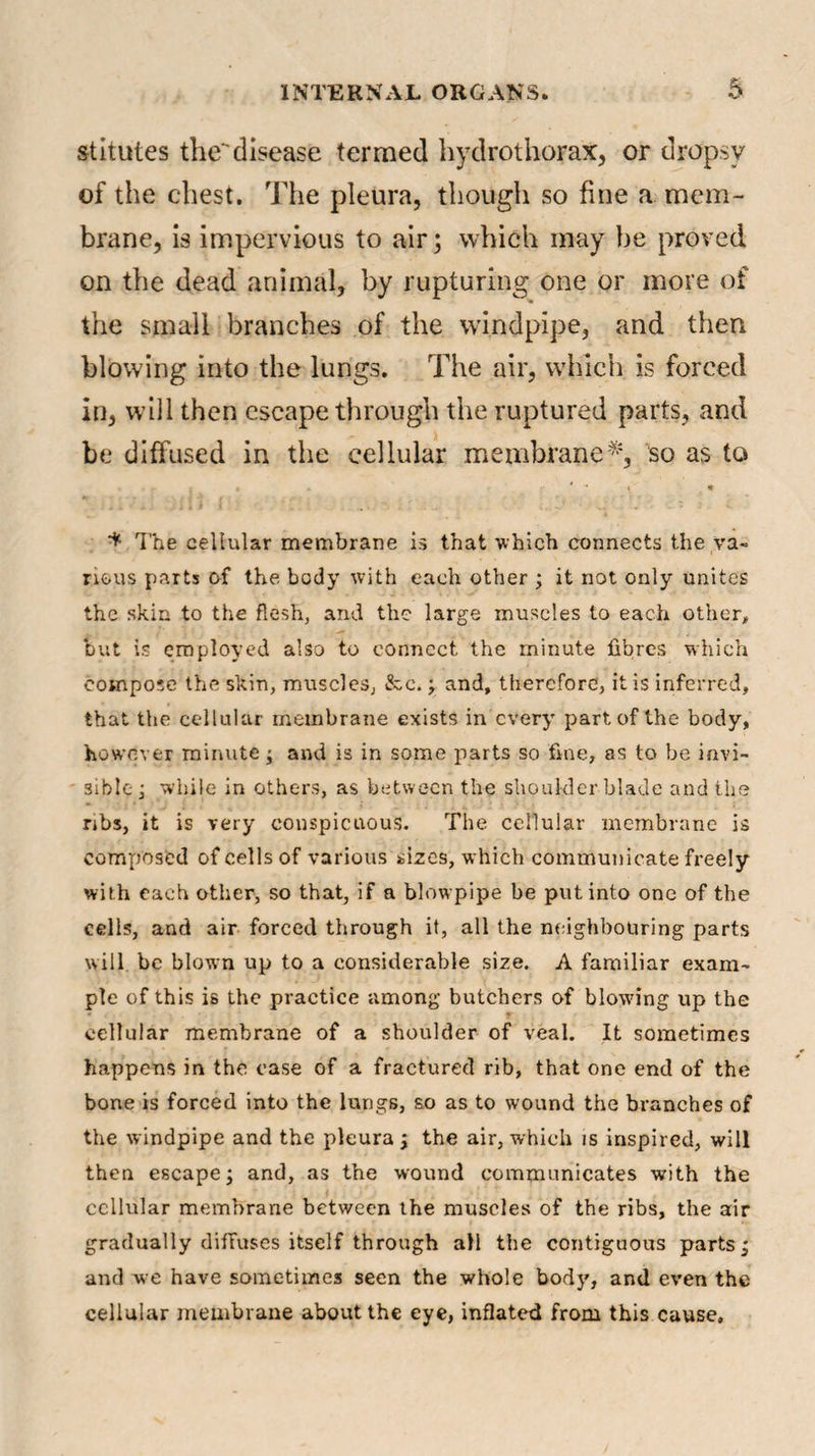 stitutes the'disease termed hydrothorax, or dropsy of the chest. The pleura, though so fine a mem¬ brane, is impervious to air; which may be proved on the dead animal, by rupturing one or more of the small branches of the windpipe, and then blowing into the lungs. The air, which is forced in, will then escape through the ruptured parts, and be diffused in the cellular membrane*, so as to * • . * - i' t ■* The cellular membrane is that which connects the va¬ rious parts of the body with each other ; it not only unites the skin to the flesh, and the large muscles to each other, but is employed also to connect the minute fibres which compose the skin, muscles, &e.; and, therefore, it is inferred, that the cellular membrane exists in every part of the body, however minute ; and is in some parts so fine, as to be invi¬ sible ; while in others, as between the shoulder blade and the ribs, it is very conspicuous. The cellular membrane is composed of cells of various sizes, which communicate freely with each other, so that, if a blowpipe be put into one of the cells, and air forced through it, all the neighbouring parts will be blown up to a considerable size. A familiar exam¬ ple of this is the practice among butchers of blowing up the cellular membrane of a shoulder of veal. It sometimes happens in the case of a fractured rib, that one end of the bone is forced into the lungs, so as to wound the branches of the windpipe and the pleura; the air, which is inspired, will then escape; and, as the wound communicates with the cellular membrane between the muscles of the ribs, the air gradually diffuses itself through all the contiguous parts; and we have sometimes seen the whole body, and even the cellular membrane about the eye, inflated from this cause.