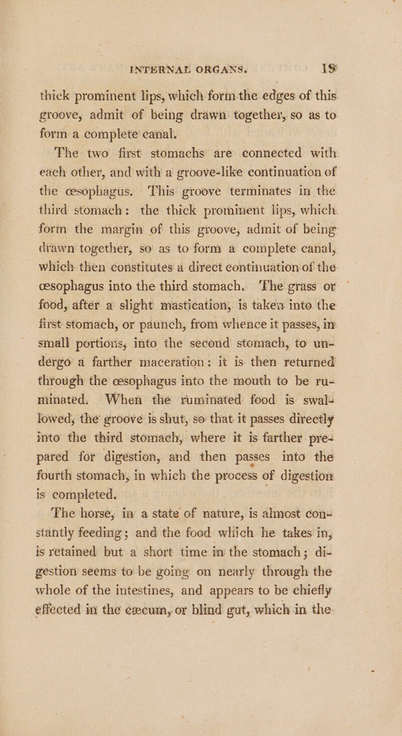 thick prominent lips, which form-the edges of this. groove, admit of being drawn together, so as to form a complete’ canal. The two first stomachs are connected with each other, and with a groove-like continuation of the cesophagus. This groove terminates in the third stomach: the thick prominent lips, which. form the margin of this groove, admit of being drawn together, so as to form a complete canal, which then constitutes a direct continuation of the cesophagus into the third stomach. ‘The grass or food, after a slight mastication, is taken into the first stomach, or paunch, from whence it passes, im small portions, into the second stomach, to un- dergo a farther maceration: it is then returned through the cesophagus into the mouth to be ru-. minated. When the ruminated food is swals lowed, the’ groove is shut, so that it passes directly into the third stomach, where it is farther pre pared for digestion, and then passes into the fourth stomach, in which the process of digestion is completed. mes The horse, ia a state of nature, is almost con~ stantly feeding; and the food which he takes in, is retained but a short time in the stomach ; di- gestion seems to be going on nearly through the whole of the intestines, and appears to be chiefly effected im the ezecum, or blind gut, which in the: