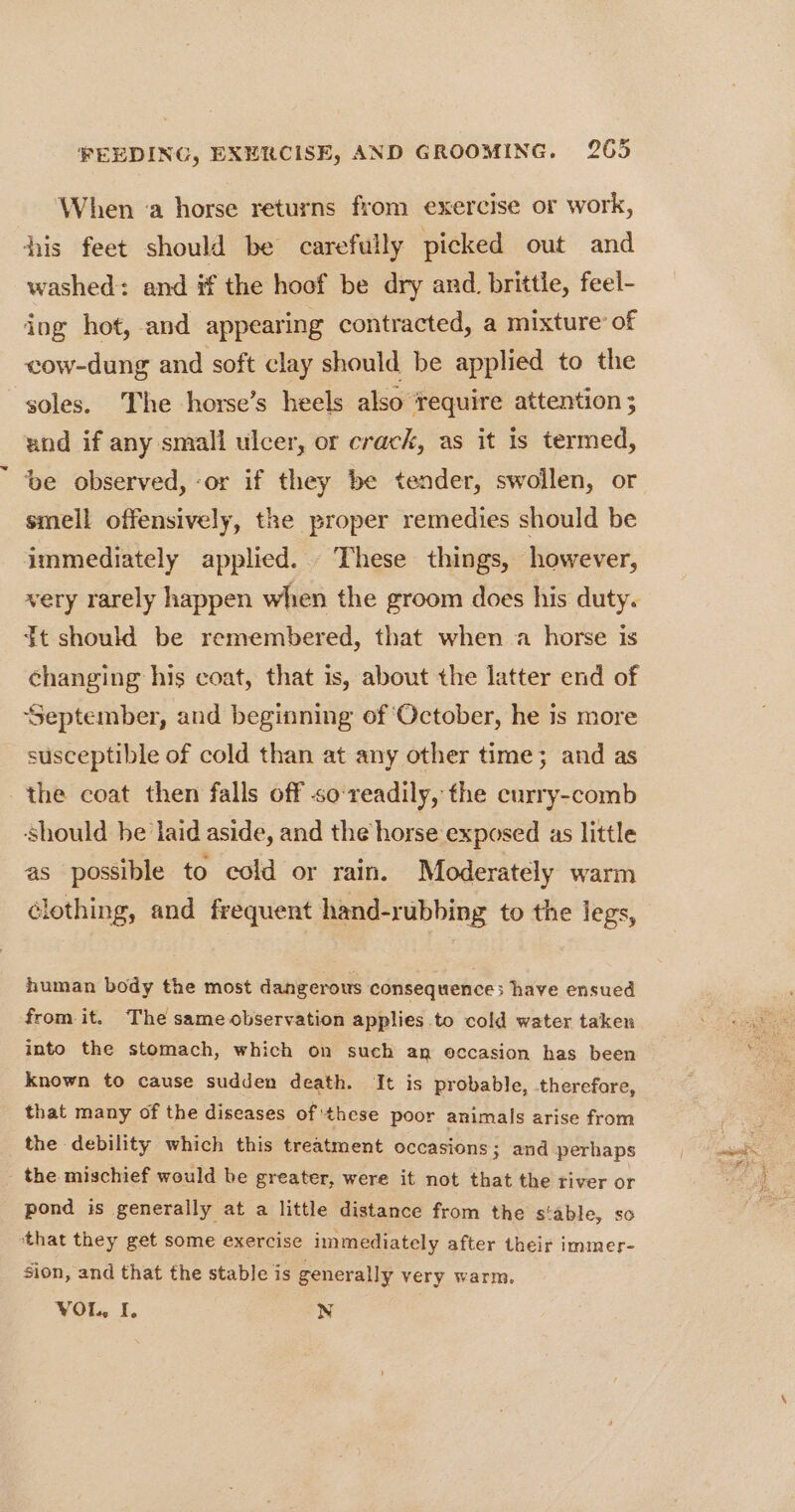 w ‘When ‘a horse returns from exercise or work, his feet should be carefully picked out and washed: and if the hoof be dry and. brittle, feel- ing hot, and appearing contracted, a mixture’ of cow-dung and soft clay should be applied to the soles. The horse’s heels also require attention ; and if any small ulcer, or crack, as it is termed, be observed, ‘or if they be tender, swollen, or smell offensively, the proper remedies should be immediately applied. These things, however, very rarely happen when the groom does his duty. §t should be remembered, that when a horse is changing his coat, that is, about the latter end of ‘September, and beginning of ‘October, he is more susceptible of cold than at any other time; and as the coat then falls off so-readily, the curry-comb should be laid aside, and the horse exposed as little as possible to cold or rain. Moderately warm clothing, and frequent hand-rubbing to the legs, human body the most dangerous consequences have ensued from it. The same observation applies to cold water taken into the stomach, which on such an occasion has been known to cause sudden death. It is probable, therefore, that many of the diseases of these poor animals arise from the debility which this treatment occasions; and perhaps the mischief would be greater, were it not that the river or pond is generally at a little distance from the s‘able, so that they get some exercise immediately after their immer- sion, and that the stable is generally very warm. VOL, I. N