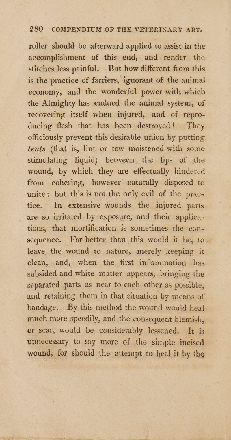 roller should be afterward applied to assist in the accomplishment of this end, and render the stitches less painful. But how different from this is the practice of farriers, ignorant of the animal economy, and the wonderful power with which the Almighty has endued the animal system, of recovering itself when injured, and of repro- ducing flesh that has been destroyed! They officiously prevent this desirable union by putting tents (that is, lint or tow moistened with some stimulating liquid) between the lips of. the wound, by which they are effectually hindered from cohering, however naturally disposed to unite: but this is not the only evil of the prac- tice. In extensive wounds the injured parts are so irritated by exposure, and their applica- tions, that mortification is sometimes. the con- sequence. Far better than this would it be, to. leave the wound to nature, merely keeping it clean, and, when the first inflammation has subsided and white matter appears, bringing the separated parts as near to each other as possible, and retaining them in that situation by means of bandage. By this method the wound would heal much more speedily, and the consequent blemish, or scar, would be considerably lessened. It is unnecessary to say more of the simple incised wound, for should the attempt to heal it by the