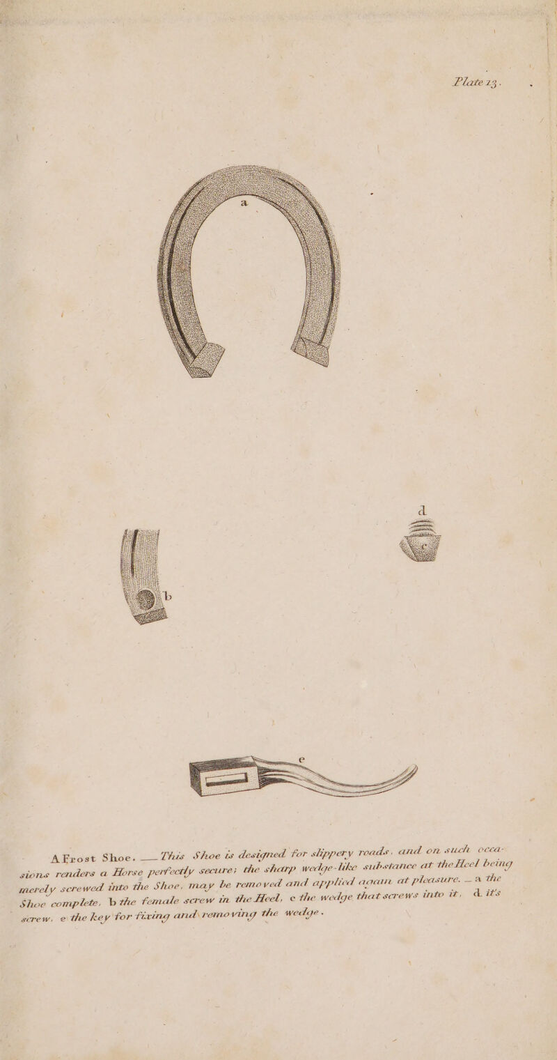 AFrost Shoe. This Shoe ws designed for slippery roads, and on such occa- sions renders a Horse perfectly secure; the sharp wedge-like substance at the feel being merely screwed into the Shoe, may be removed and applied agaur at pleasure. —a the Shoe complete, b the female screw in the Heel, ¢ the wedge that screws into wz, adits screw, e the key for tiring and removing the wedge « ced