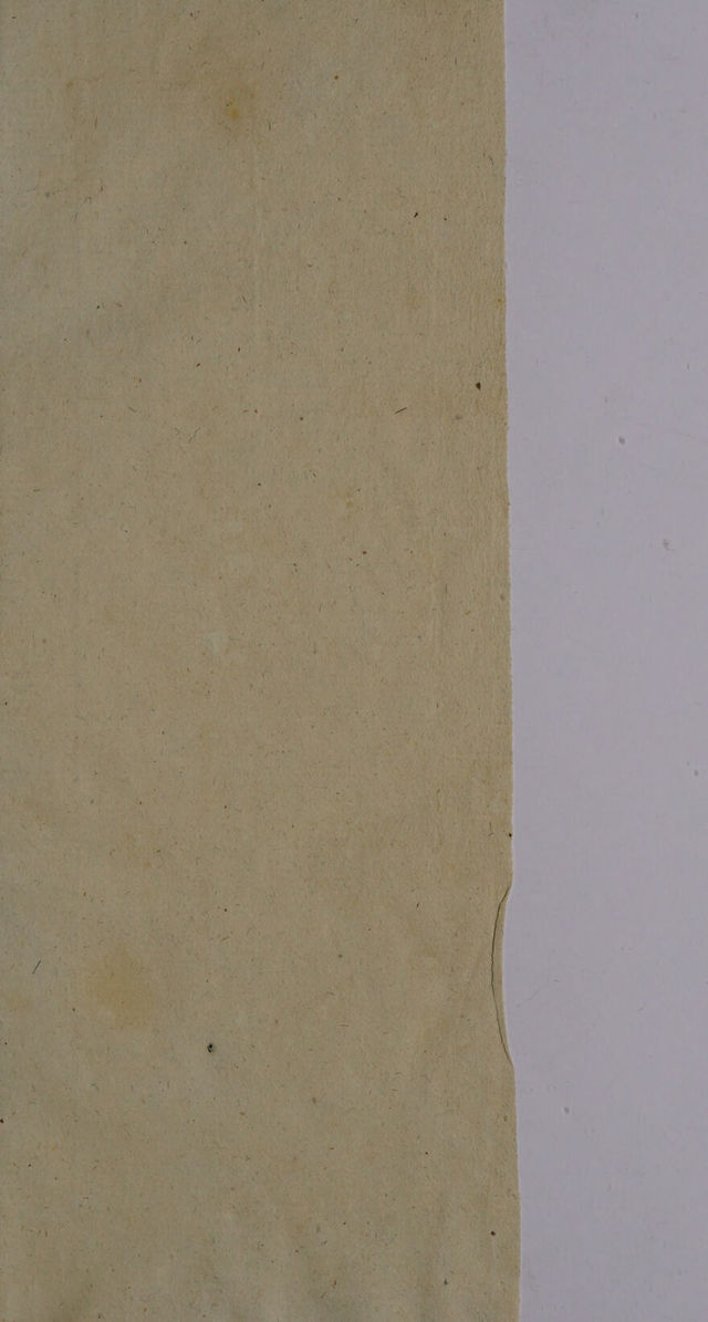 digitised image 3