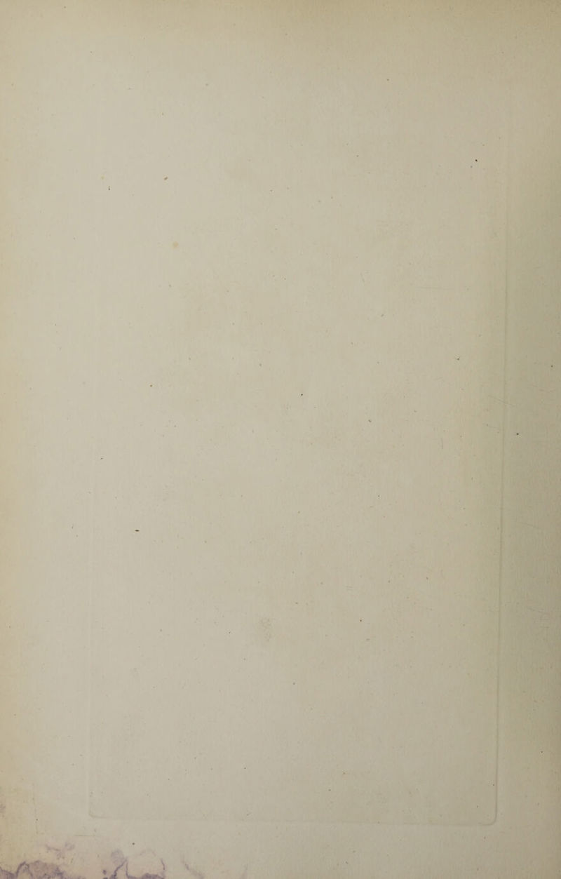 l. % t ■ V . ■ *,