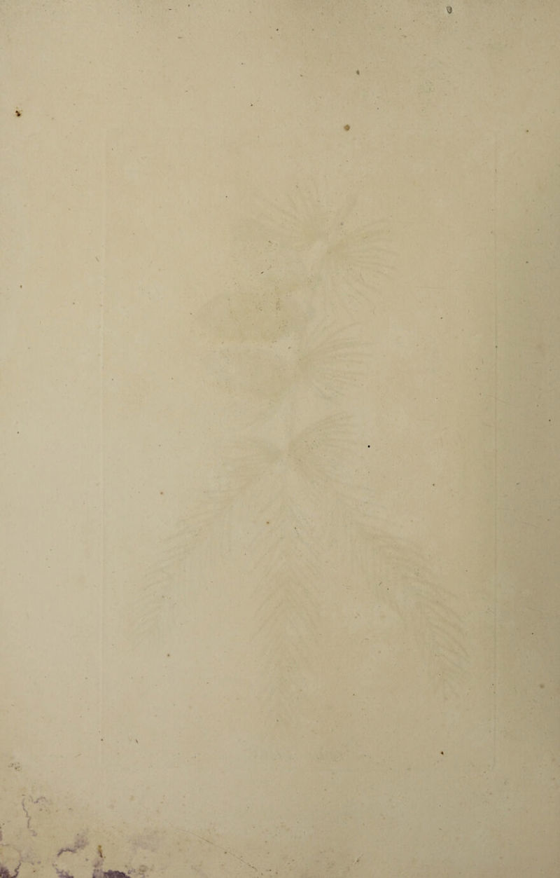 % « \ « • • \ \ *■/ u t * <« » »> c 1 * v