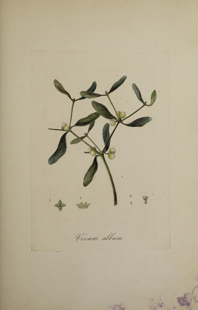 1 V