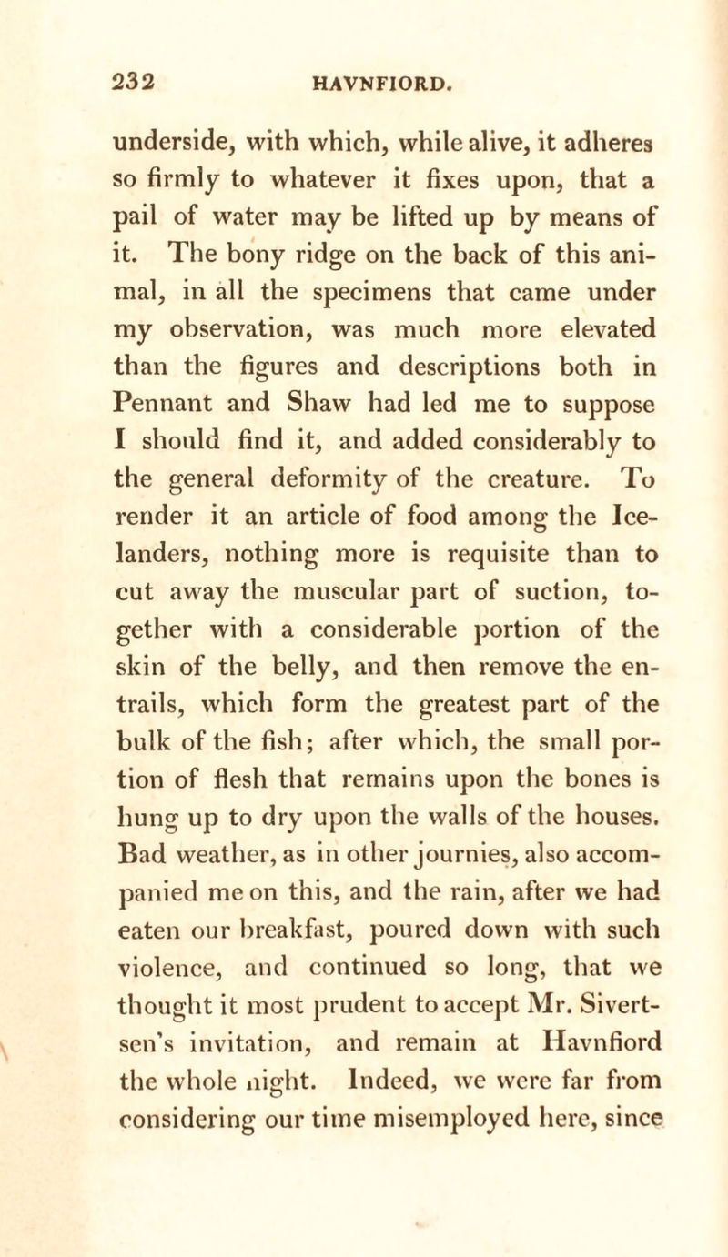 underside, with which, while alive, it adheres so firmly to whatever it fixes upon, that a pail of water may be lifted up by means of it. The bony ridge on the back of this ani¬ mal, in all the specimens that came under my observation, was much more elevated than the figures and descriptions both in Pennant and Shaw had led me to suppose I should find it, and added considerably to the general deformity of the creature. To render it an article of food among the Ice- landers, nothing more is requisite than to cut away the muscular part of suction, to¬ gether with a considerable portion of the skin of the belly, and then remove the en¬ trails, which form the greatest part of the bulk of the fish; after which, the small por¬ tion of flesh that remains upon the bones is hung up to dry upon the walls of the houses. Bad weather, as in other journies, also accom¬ panied me on this, and the rain, after we had eaten our breakfast, poured down with such violence, and continued so long, that we thought it most prudent to accept Mr. Sivert- sen’s invitation, and remain at Havnfiord the whole night. Indeed, we were far from considering our time misemployed here, since