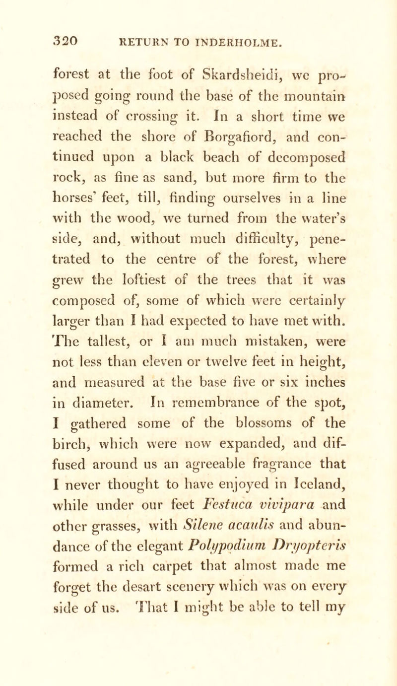 forest at the foot of Skardsheidi, wc pro¬ posed going round the base of the mountain instead of crossing it. In a short time we reached the shore of Borgafiord, and con- tinued upon a black beach of decomposed rock, as fine as sand, but more firm to the horses' feet, till, finding ourselves in a line with the wood, we turned from the water’s side, and, without much difficulty, pene¬ trated to the centre of the forest, where grew the loftiest of the trees that it was composed of, some of which were certainly larger than I had expected to have met with. The tallest, or I am much mistaken, were not less than eleven or twelve feet in height, and measured at the base five or six inches in diameter. In remembrance of the spot, I gathered some of the blossoms of the birch, which were now expanded, and dif¬ fused around us an agreeable fragrance that I never thought to have enjoyed in Iceland, while under our feet Festuca vivipara and other grasses, with Silene acaulis and abun¬ dance of the elegant Poh/podium Dryopteris formed a rich carpet that almost made me forget the desart scenery which was on every side of us. That I might be able to tell my