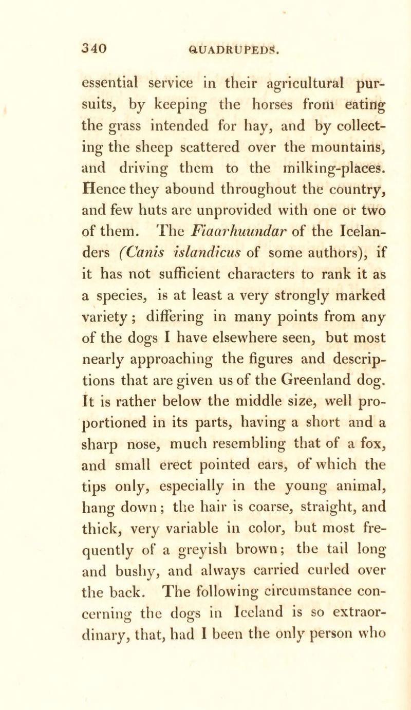 essential service in their agricultural pur¬ suits, by keeping the horses from eating the grass intended for hay, and by collect¬ ing the sheep scattered over the mountains, and driving them to the milking-places. Hence they abound throughout the country, and few huts arc unprovided with one or two of them. The Fiaarhuundar of the Icelan¬ ders (Cams islandicus of some authors), if it has not sufficient characters to rank it as a species, is at least a very strongly marked variety; differing in many points from any of the dogs I have elsewhere seen, but most nearly approaching the figures and descrip¬ tions that are given us of the Greenland dog. It is rather below the middle size, well pro¬ portioned in its parts, having a short and a sharp nose, much resembling that of a fox, and small erect pointed ears, of which the tips only, especially in the young animal, hang down; the hair is coarse, straight, and thick, very variable in color, but most fre¬ quently of a greyish brown; the tail long and bushy, and always carried curled over the back. The following circumstance con¬ cerning the doers in Iceland is so extraor- dinary, that, had I been the only person who