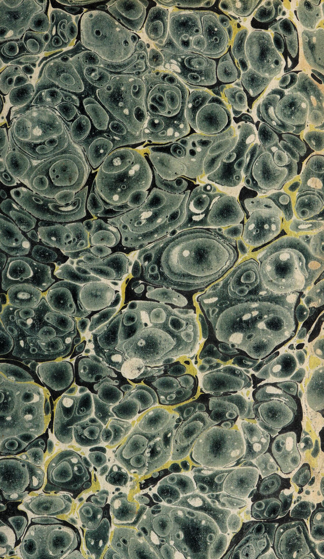 digitised image 3