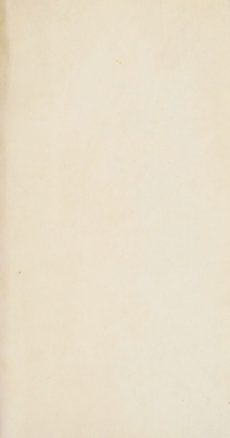 \ 'RLAMER LPENT NUY nl 1 AE CAL