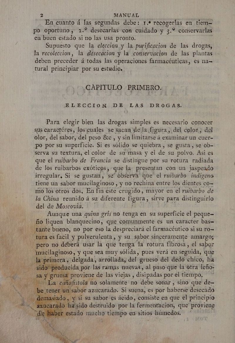 En cuanto à las segundas debe: 1.* recogerlas en tiem= po oportuno, 2.2 desecarlas con cuidado y 3.° conservarlas en buen Estado 8 si no las usa pronto. Supuesto que la eleccion y la. purificación de las drogas, la recoleccion, la desecacion y la conservacion de las plantas deben preceder á todas las operaciones farmacéuticas, es na tural Principiar por su estudio. ¿CAPITULO PRIMERO. ELECCION DE LAS DROGAS. Para elegir bien las drogas simples es necesario conocer sus caractéres, los cuales se sacan de la digura,, del color ; del olor, del sabor, del peso &amp;c , y sin limitarse 4 examinar un cuer- po por su superficie. Si es sólido se quiebea. , Se gusta, se ob- serva su textura, el color de su masa y el de su polvo. Asi es que el ruibarbo de Francia se distingue por su rotura radiada de los ruibarbos exóticos, que la presentan con un jaspeado irregular, Si se gustan, se” observa que el ruibarbo indigeno tiene un sabor mucilaginoso , Y nO rechina entre los dientes co- mo los otros dos, En fin este crugido, mayor en el ruibarbo de la China reunido á su diferente JA sirve para distinguirlo del de Moscouia. Aunque una quina gris no tenga en su superficie el peque— ño liquen blanquecino, que comunmente es un caracter bas- ¡tante bueno, no por eso la despreciará el farmacéutico si su ro= tura es facil y pulverulenta, y su sabor sinceramente amargo; | pero no deberá usar la que tenga a rotura fibrosa, el sabor 'mucilaginoso, y que sea muy sólida, pues verá en seguida, que imera , delgada, arrollada, del grueso del dedó chico, ha Ausida por las ramas nuevas, al paso que la otra leño- esa proviene de las viejas , disipadas por el tiempo, afistola nô solamente no debe sonar , sino que de- abor azucarado. Si suena, es por haberse desecado si su sabor es ácido, consiste en que el principio d'sido destruido por la fermentacion, que' Prériens tado ns tiempo en sitios húmedos. el