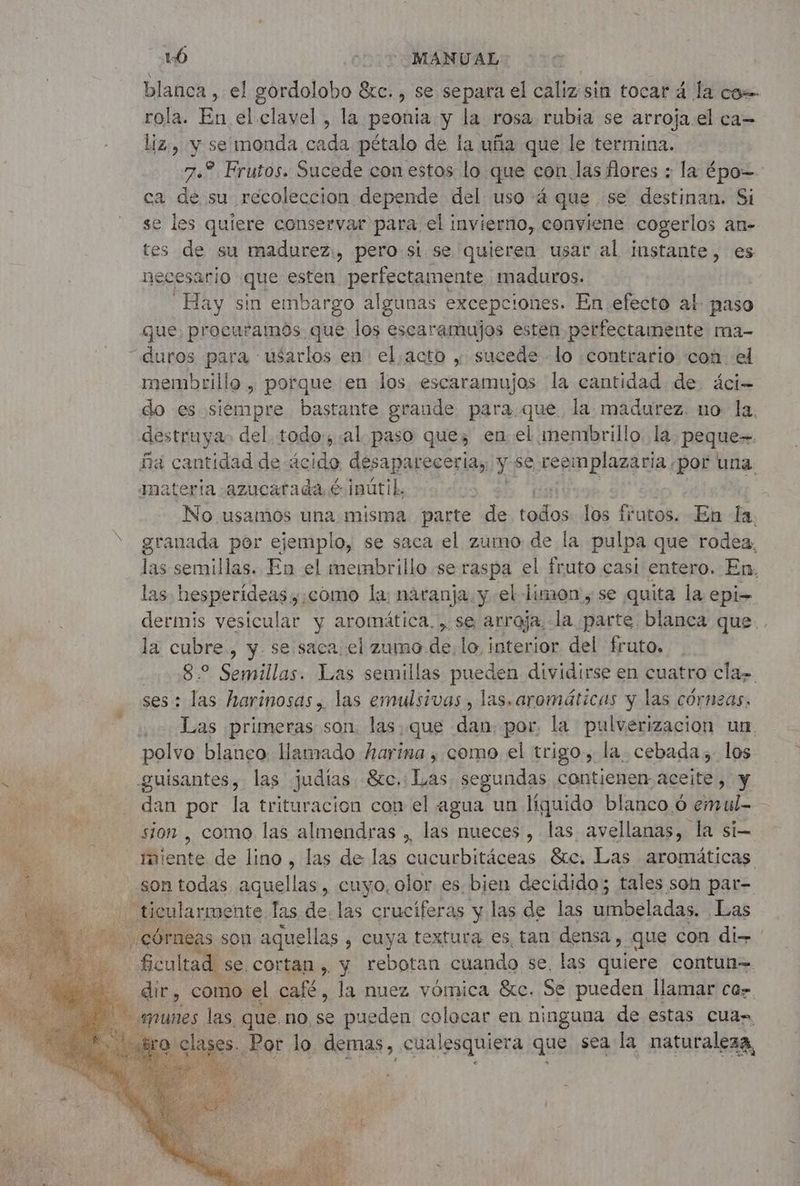 1-0 “MANUAL blanca , el gordolobo éxc. , se separa el caliz sin tocar 4 la ce rola. En el clavel , la peonia y la rosa rubia se arroja.el ca- Liz, y se monda cada pétalo de la uña que le termina. 7.2 Frutos. Sucede con estos lo que con las flores : la épo=- ca de su recoleccion depende del uso 4 que se destinan. Si se les quiere conservar para el invierno, conviene cogerlos an- tes de su madurez:, pero si. se quieren usar al instante, es necesario que esten perfectamente maduros. Hay sin embargo algunas excepciones. En efecto ak paso que, procuramos que los escaramujos esten perfectamente ma- “duros para usarlos en el.acto , sucede lo contrario con el membrillo , porque en los. escaramujos 'la cantidad de áci- do es siempre bastante grande para.que la madurez. no la. destruya: del. todo, al paso que; en el membrillo. la. peque=. ña cantidad de acid desapareceria,, y se pep plactda: ‘por una materia -azucatada é- inútil, | | No usamos una misma parte de Feria los frutos. En la. * granada por ejemplo, se saca el zumo de la pulpa que rodea, las semillas. En el membrillo se raspa el fruto casi entero. En, las hesperídeas , como la: naranja. y el limon, se quita la epi- dermis vesicular y aromática, se arroja, la parte blanca que. . la cubre, y se saça. el zumo. de. lo, interior del fruto. 008.2 Semillas. Las semillas pueden dividirse en cuatro cla- ses : las harinosas, las emulsivas, las. aromáticas y las corneas. Las primeras son. las, que dan. por. la direcció un polvo blaneo llamado harina , como el trigo, la. cebada. los A at guisantes, las judías &c. Te segundas contienen aceite, y dan por la trituracion con el agua un líguido blanco 6 emul= cil sion , como las almendras , las nueces, las avellanas, la si | miente de lino, las de las cucurbitáceas &c. Las aromáticas 2 sontodas aquellas, cuyo, olor es. bien decidido; tales son par- ticularmente Tas de. las cruciferas y las de las umbeladas, Las ¡córneas son aquellas , cuya textura es, tan densa, que con di- ficultad se cortan, y rebotan cuando se. las quiere contun= dr, como el café, la nuez vómica Ste. Se pueden llamar ca- emunes las que. no. sa pueden colocar en ninguna de estas Cuan “clases. Por lo Sas, cual lesquiera que sea la naturaleza,