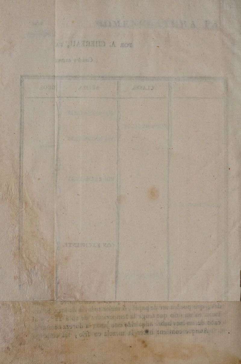 ¿UATIAHO A ro% v 1 o AI RAS +. z 3 A