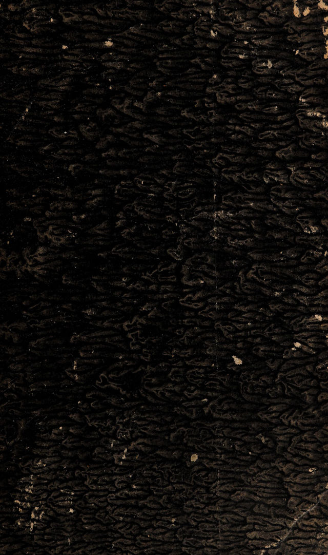 digitised image 1