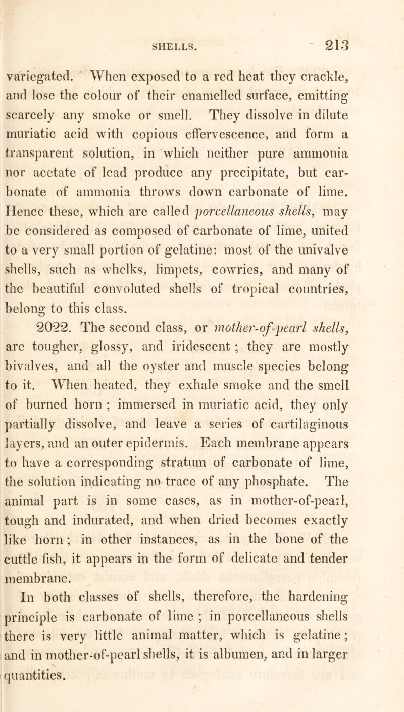 variegated. When exposed to a red heat they crackle, and lose the colour of their enamelled surface, emitting scarcely any smoke or smell. They dissolve in dilute muriatic acid with copious effervescence, and form a transparent solution, in which neither pure ammonia nor acetate of lead produce any precipitate, but car- bonate of ammonia throws down carbonate of lime. Hence these, which are called porcellaneous shells, may be considered as composed of carbonate of lime, united to a very small portion of gelatine: most of the univalve shells, such as whelks, limpets, cowries, and many of the beautiful convoluted shells of tropical countries, belong to this class. 2022. The second class, or mother-of-pearl shells, are tougher, glossy, and iridescent ; they are mostly bivalves, and all the oyster and muscle species belong to it. When heated, they exhale smoke and the smell of burned horn ; immersed in muriatic acid, they only partially dissolve, and leave a series of cartilaginous layers, and an outer epidermis. Each membrane appears to have a corresponding stratum of carbonate of lime, the solution indicating no trace of any phosphate. The animal part is in some cases, as in mother-of-peail, tough and indurated, and when dried becomes exactly like horn; in other instances, as in the bone of the cuttle fish, it appears in the form of delicate and tender membrane. In both classes of shells, therefore, the hardening- principle is carbonate of lime ; in porcellaneous shells there is very little animal matter, which is gelatine; and in mother-of-pearl shells, it is albumen, and in larger quantities.