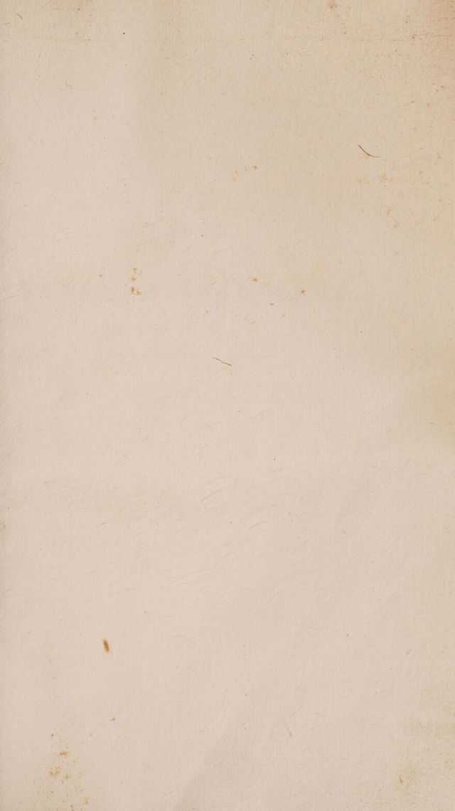 digitised image 3