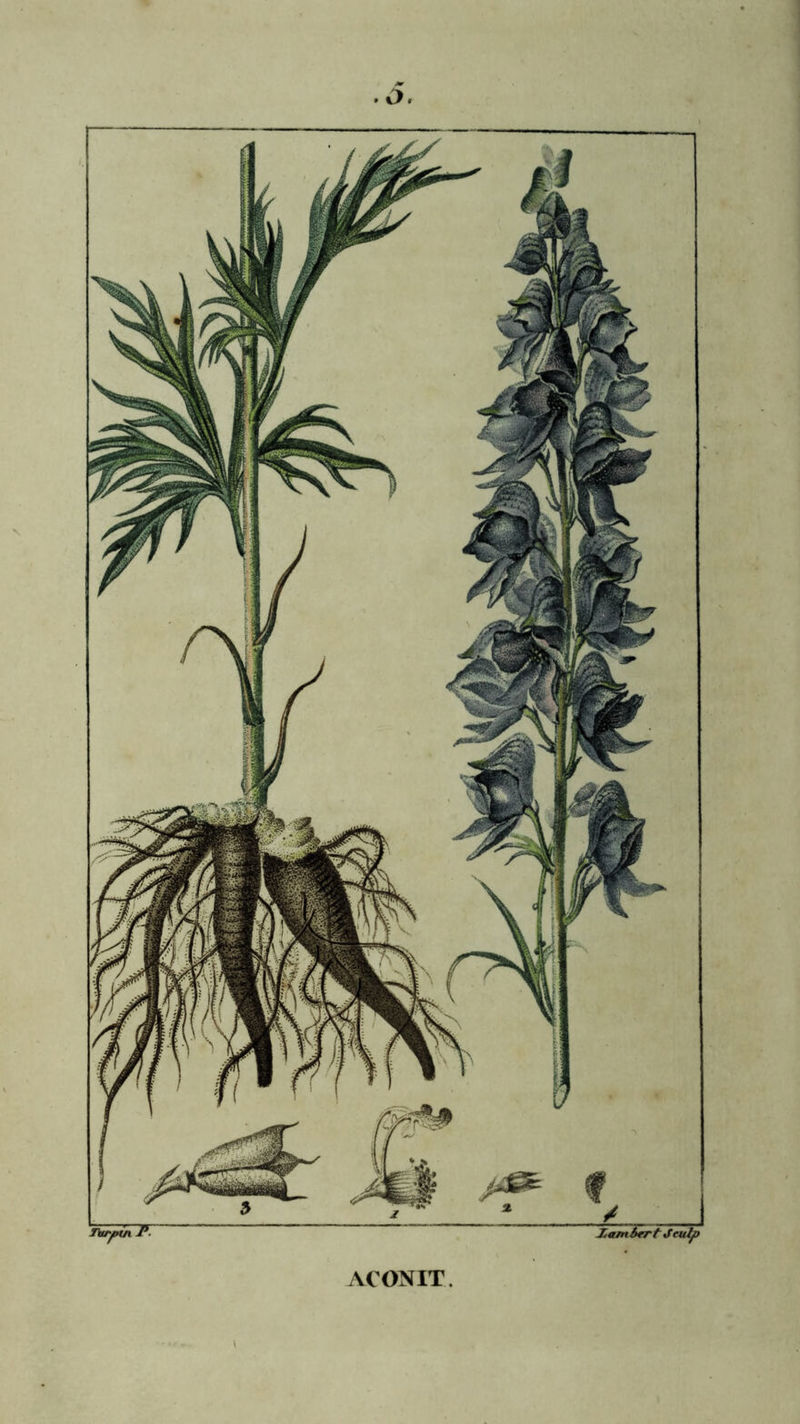 ACONIT.