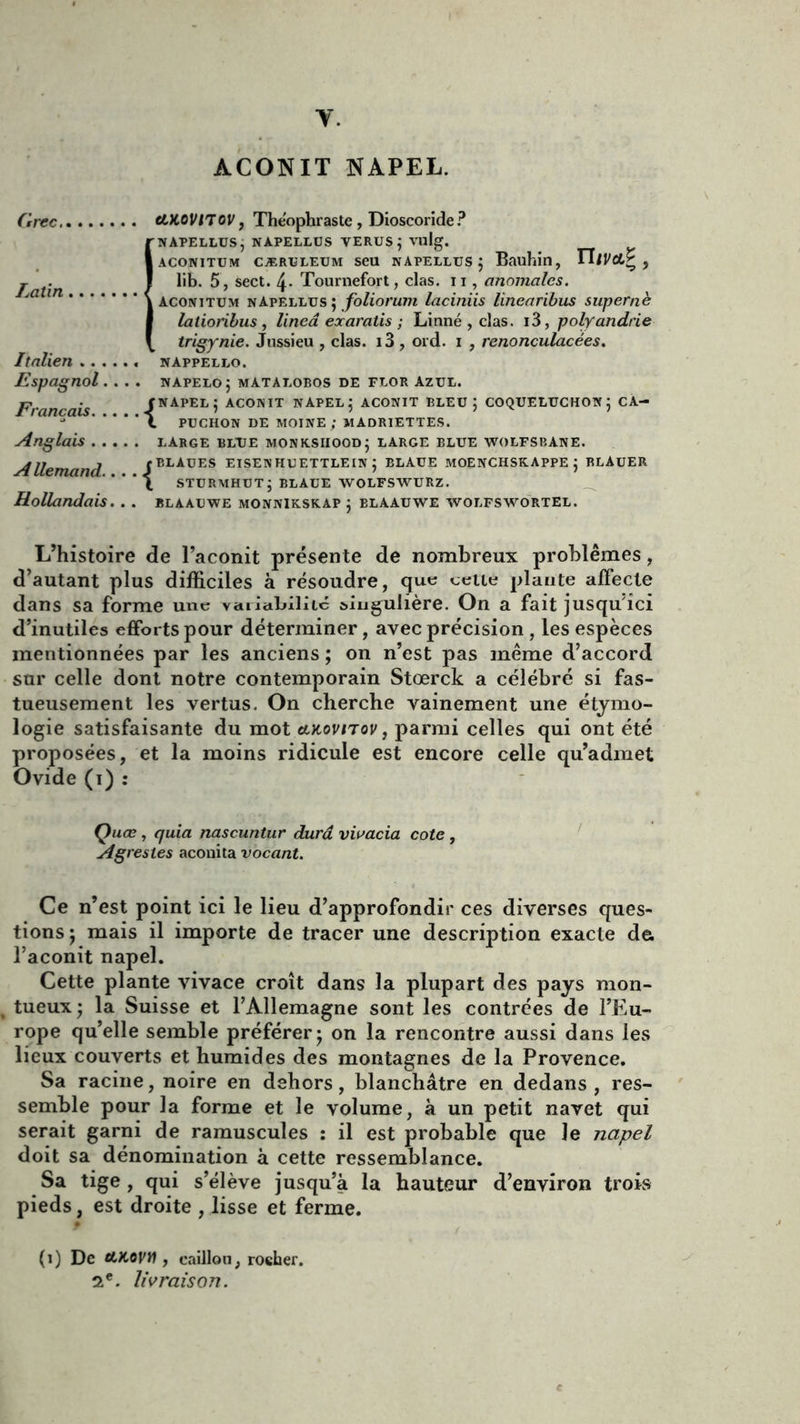 Y. ACONIT NAPEL. Latin Grec cLKOVtTOV, Théophraste, Dioscoride ? NAPELLUS, NAPELLUS VERUS; vnlg. ACONITUM CÆRïLEÜM SeU NAPELLUS; Bauhin, TiIVCLZ , lib. 5 , sect. 4- Tournefort, clas. n , anomales. aconitum napellus ; foliorum laciniis linearibus supernè latioribus , linea exaratis ; Linné , clas. i3, polyandrie trigynie. Jussieu , clas. i3, ord. i , renonculacées. Italien nAppello. Espagnol.. . . napelo; matalobos de flor azul. Frnn,nii JNAPEL; ACONIT NAPEL 5 ACONIT BLEU; COQUELUCHON; CA- J I PUCHON DE MOINE ; MADRIETTES. Anglais large bltje monksiiood; large blue wolfsbane. Allemand fBLAUES eisenhuettlein ; blaue moenchskappe ; blauer l sturmhut; blaue wolfswurz. Hollandais. .. blaauwe monnikskap ; blaauwe wolfswortel. L’histoire de l’aconit présente de nombreux problèmes, d’autant plus difficiles à résoudre, que celle plante affecte dans sa forme une vaiiuLiliic singulière. On a fait jusqu’ici d’inutiles efforts pour déterminer, avec précision, les espèces mentionnées par les anciens ; on n’est pas même d’accord sur celle dont notre contemporain Stœrck a célébré si fas- tueusement les vertus. On cherche vainement une étymo- logie satisfaisante du mot etKovtrov, parmi celles qui ont été proposées, et la moins ridicule est encore celle qu’admet Ovide (1) : Çuœ, quia nascuntur dura vivacia cote , Agrestes aconita vocant. Ce n’est point ici le lieu d’approfondir ces diverses ques- tions ; mais il importe de tracer une description exacte da l’aconit napel. Cette plante vivace croît dans la plupart des pays mon- , tueux ; la Suisse et l’Allemagne sont les contrées de l’Eu- rope qu’elle semble préférer; on la rencontre aussi dans les lieux couverts et humides des montagnes de la Provence. Sa racine, noire en dehors, blanchâtre en dedans , res- semble pour la forme et le volume, à un petit navet qui serait garni de ramuscules : il est probable que le napel doit sa dénomination à cette ressemblance. Sa tige , qui s’élève jusqu’à la hauteur d’environ trois pieds, est droite , lisse et ferme. (1) De ttKovn , caillou, roeher. 2e. livraison.